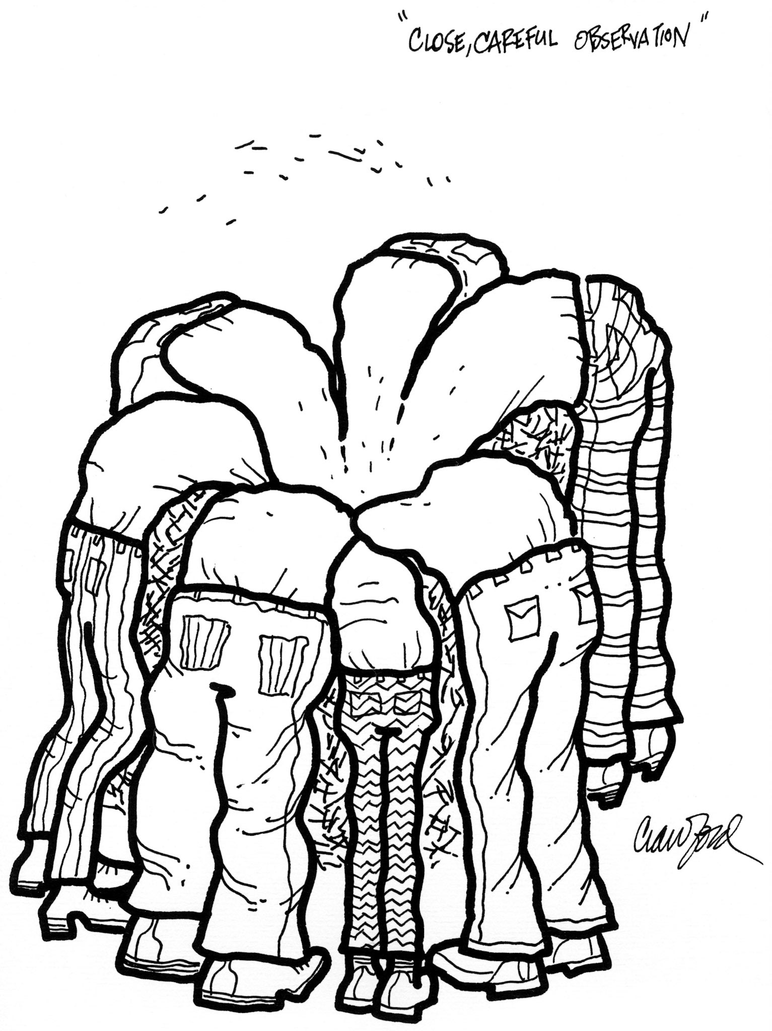 Close, Careful Observation; Pen and ink drawing