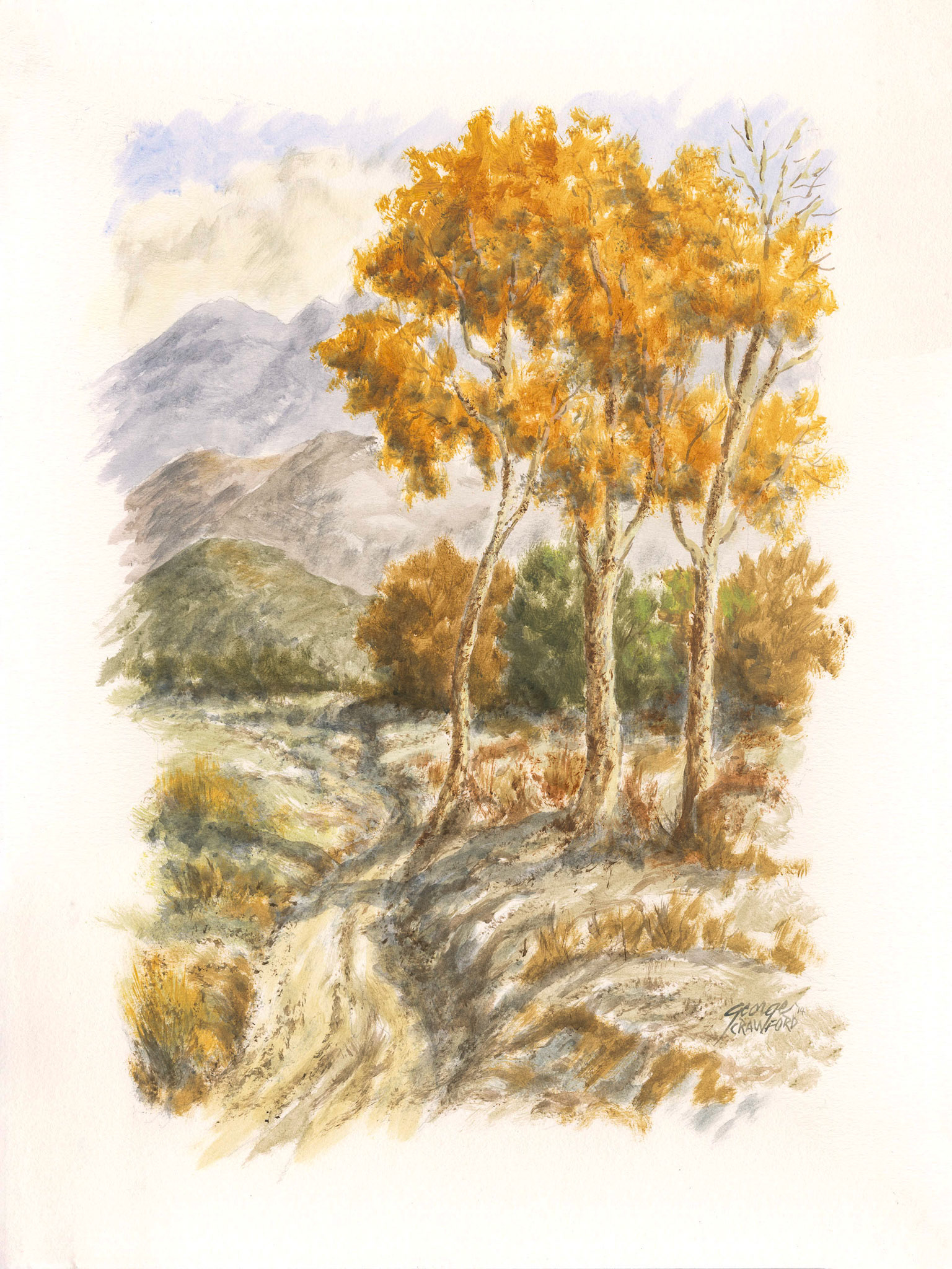 Untitled (Watercolor 14G); Acrylic watercolor on paper; 24 x 18 inches; © 2014