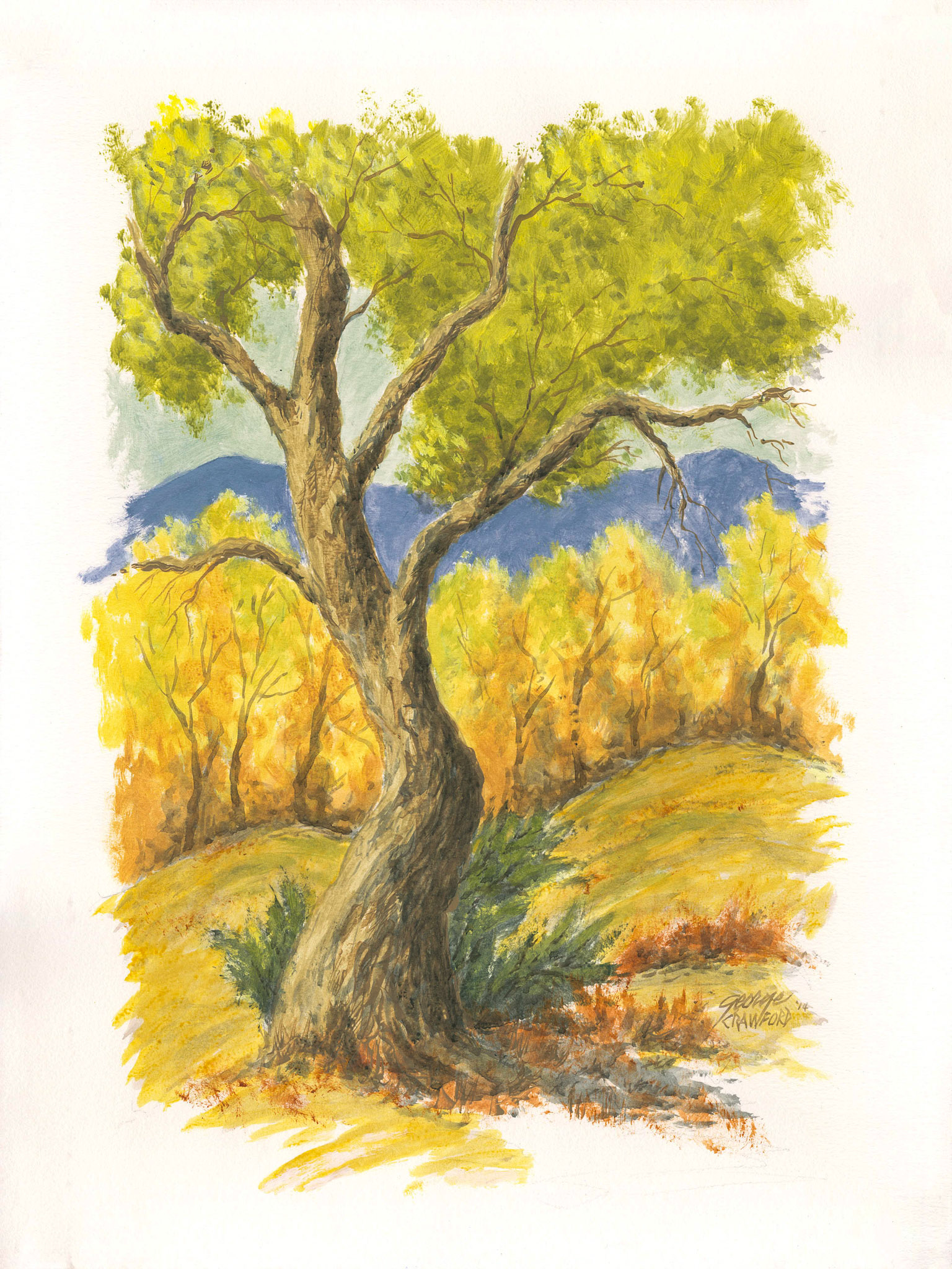 Untitled (Watercolor 14A); Acrylic watercolor on paper; 24 x 18 inches; © 2014