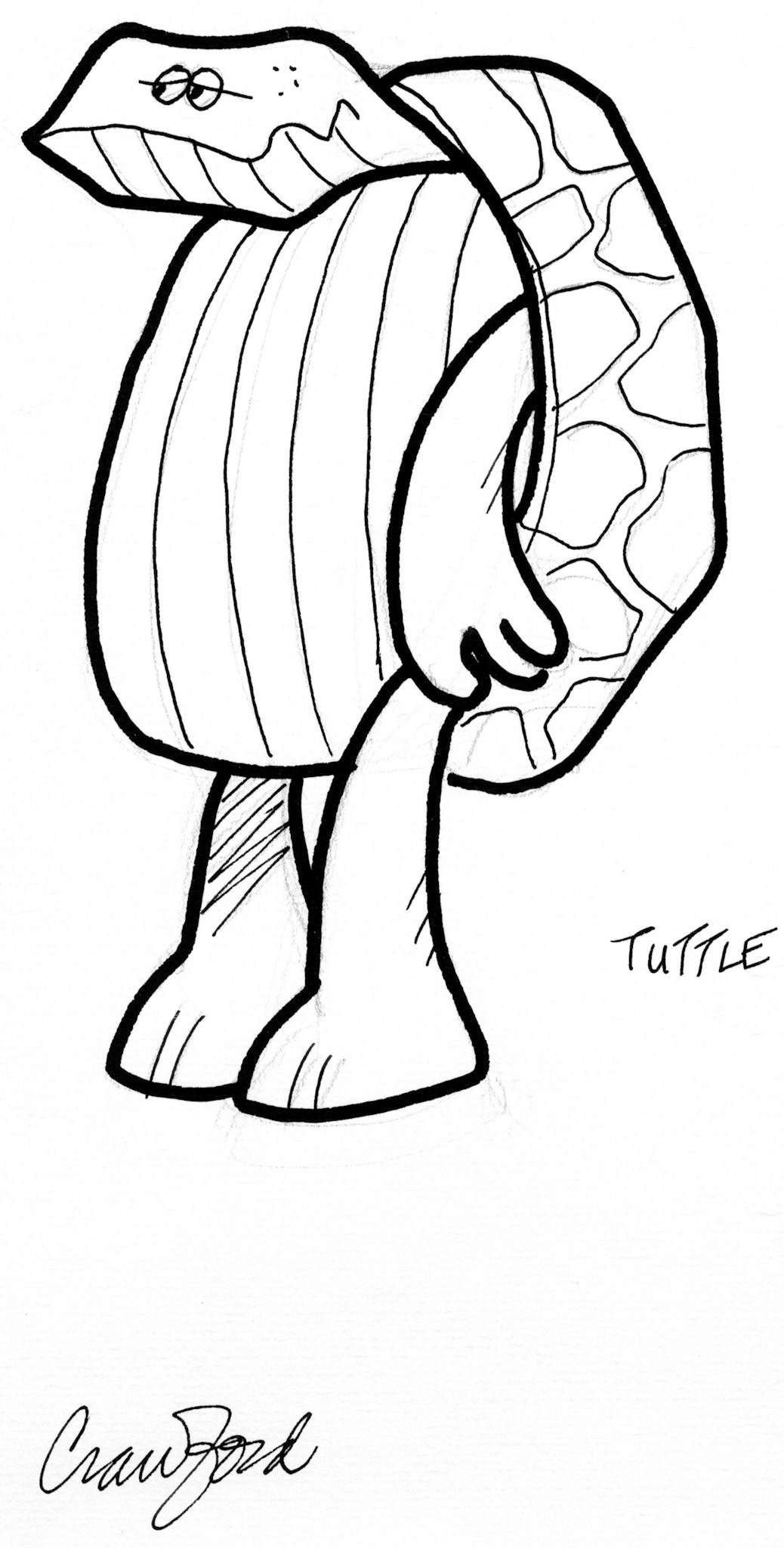 Tuttle; Pen and ink drawing