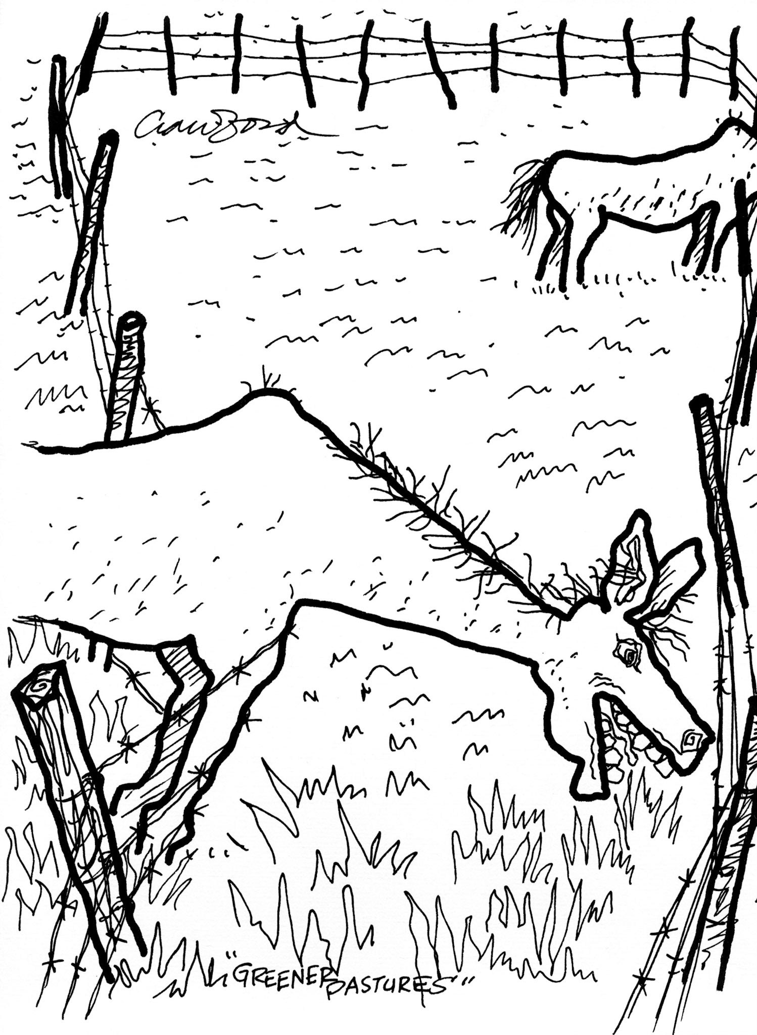 Greener Pastures; Pen and ink drawing