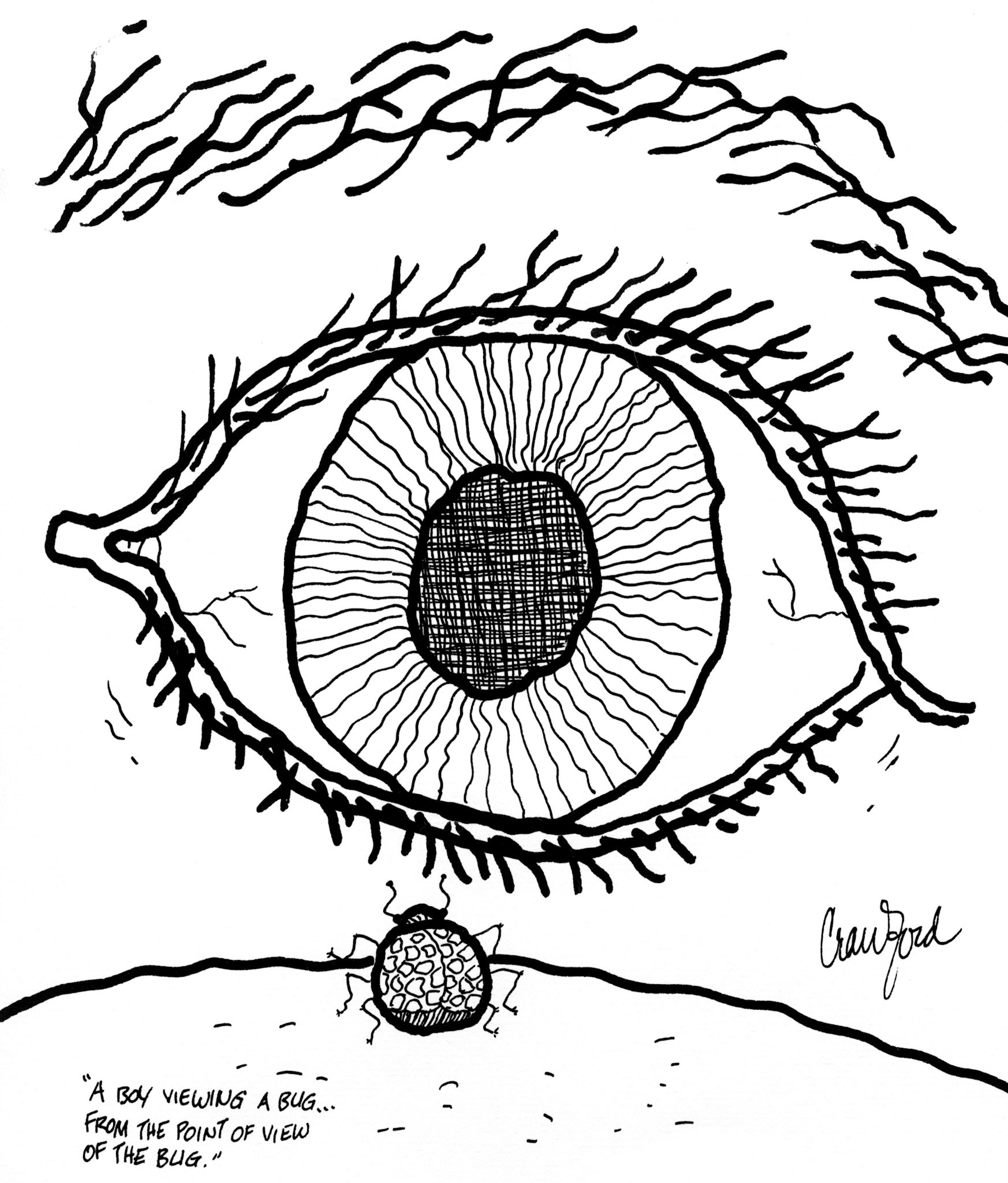 A Boy Viewing a Bug...From the Point of View of the Bug; Pen and ink drawing