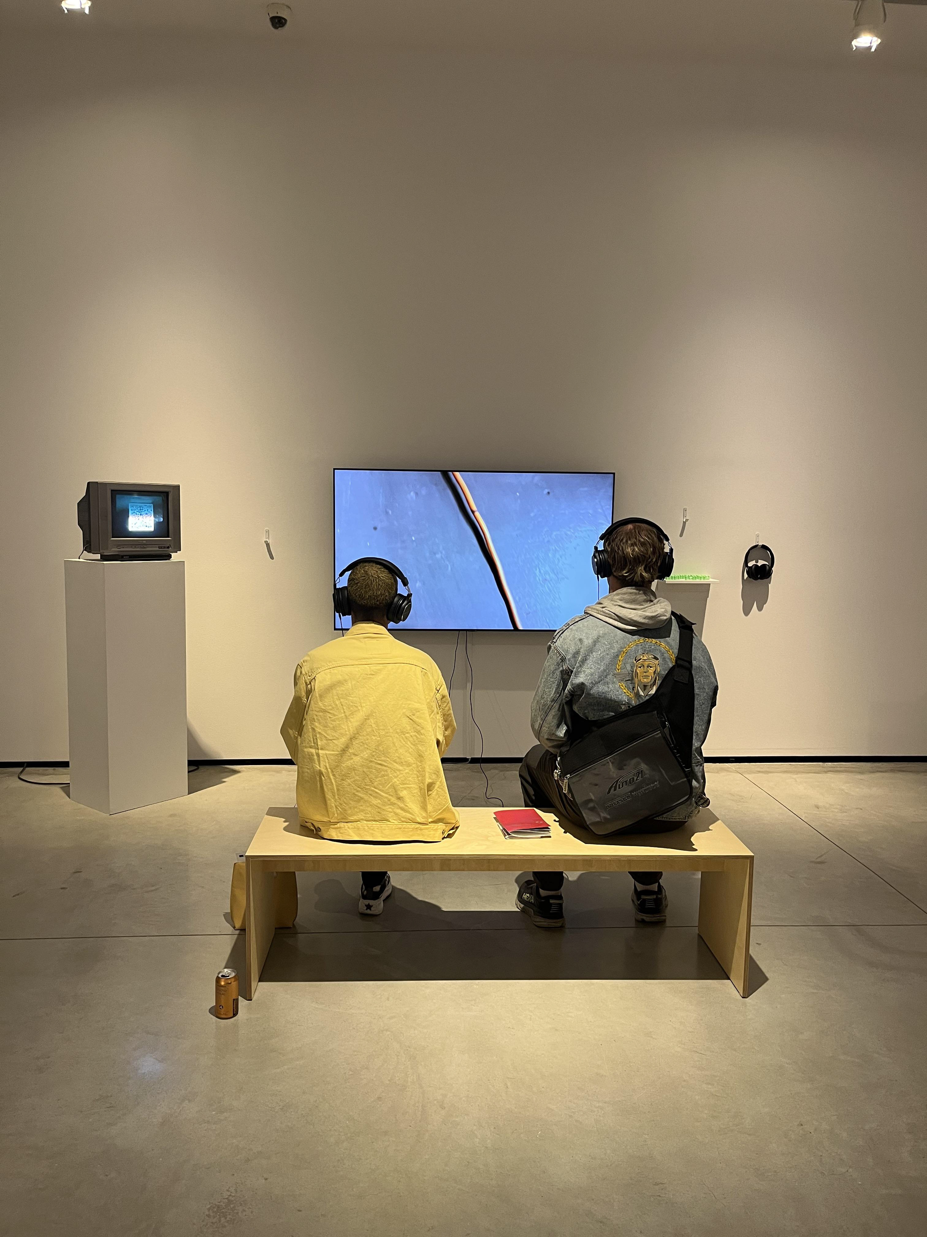 Viewers interacting with installation