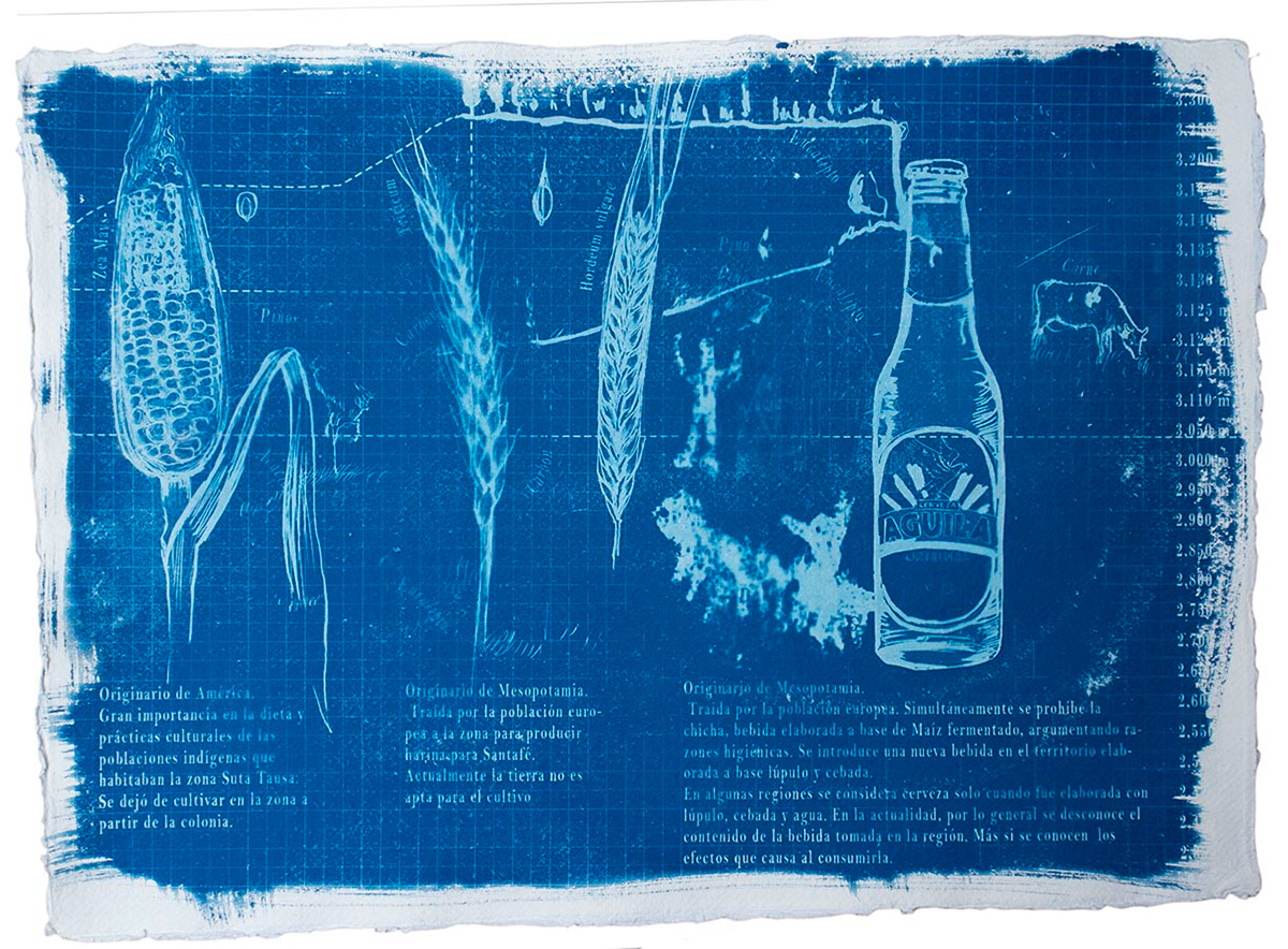 Blue Print Sutatausa N. 6.