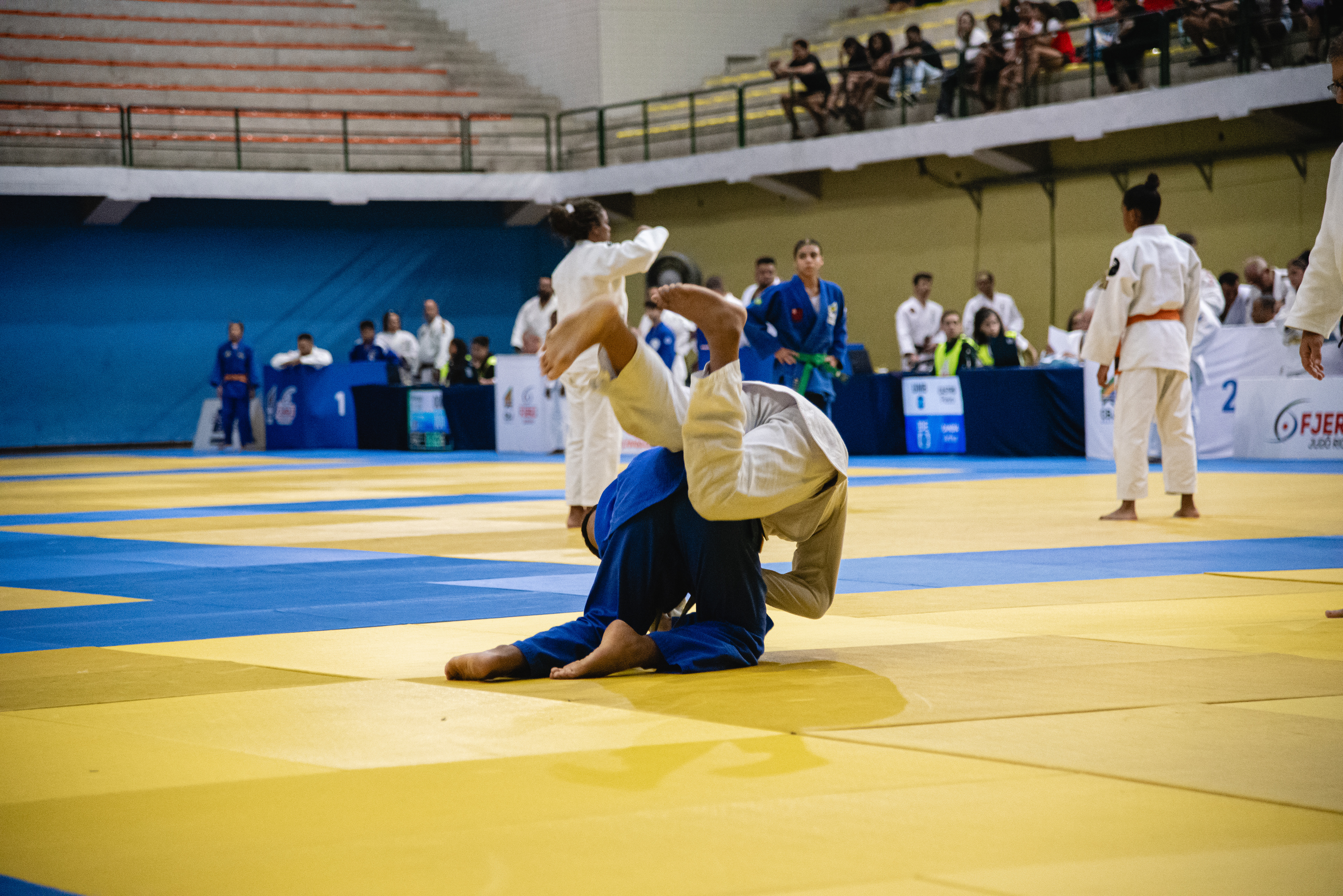 Premier Judo — Sports production, photo 13 of 27