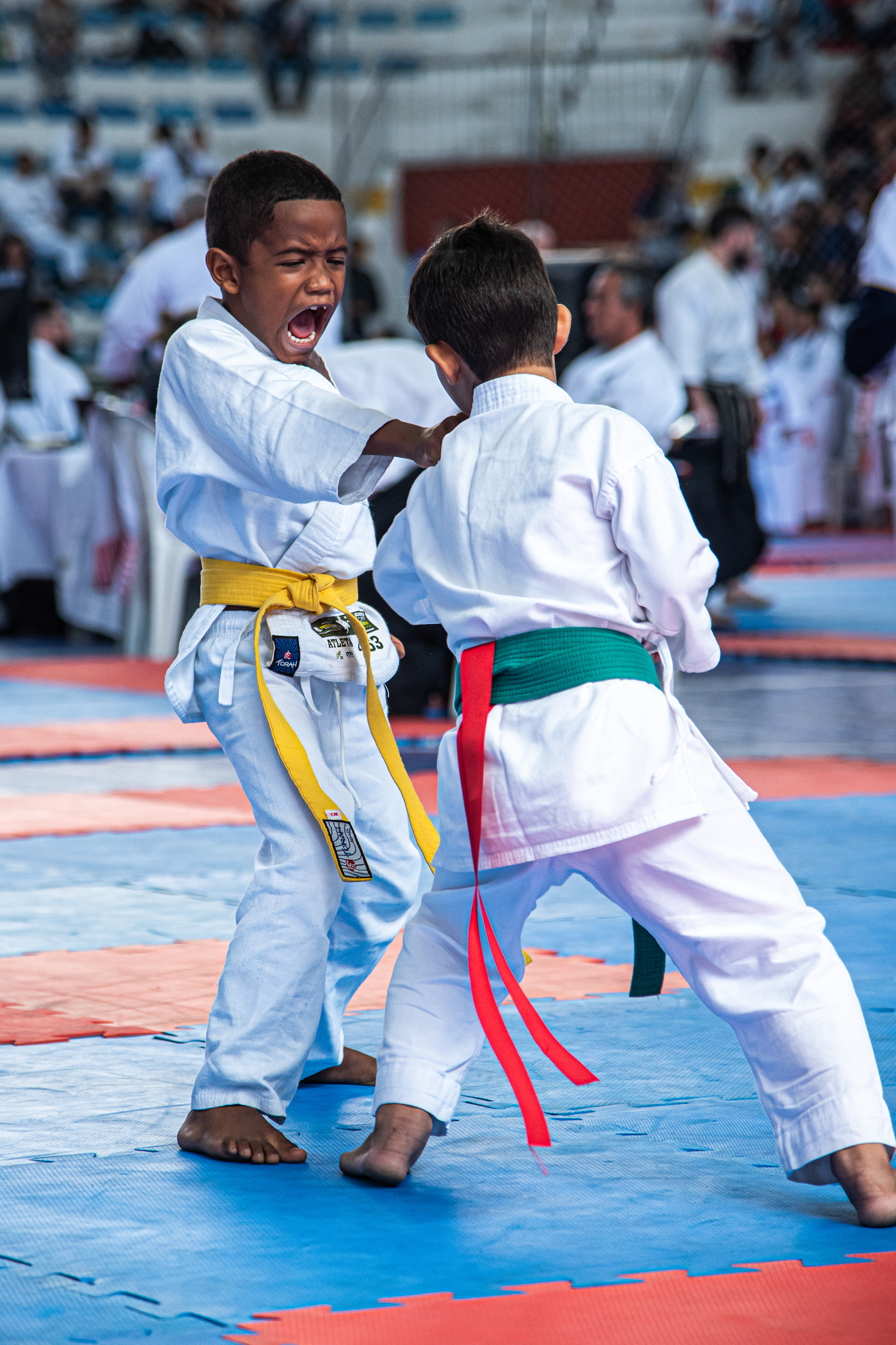 Campeonato Brasileiro de Karatê — Sports production, photo 11 of 27