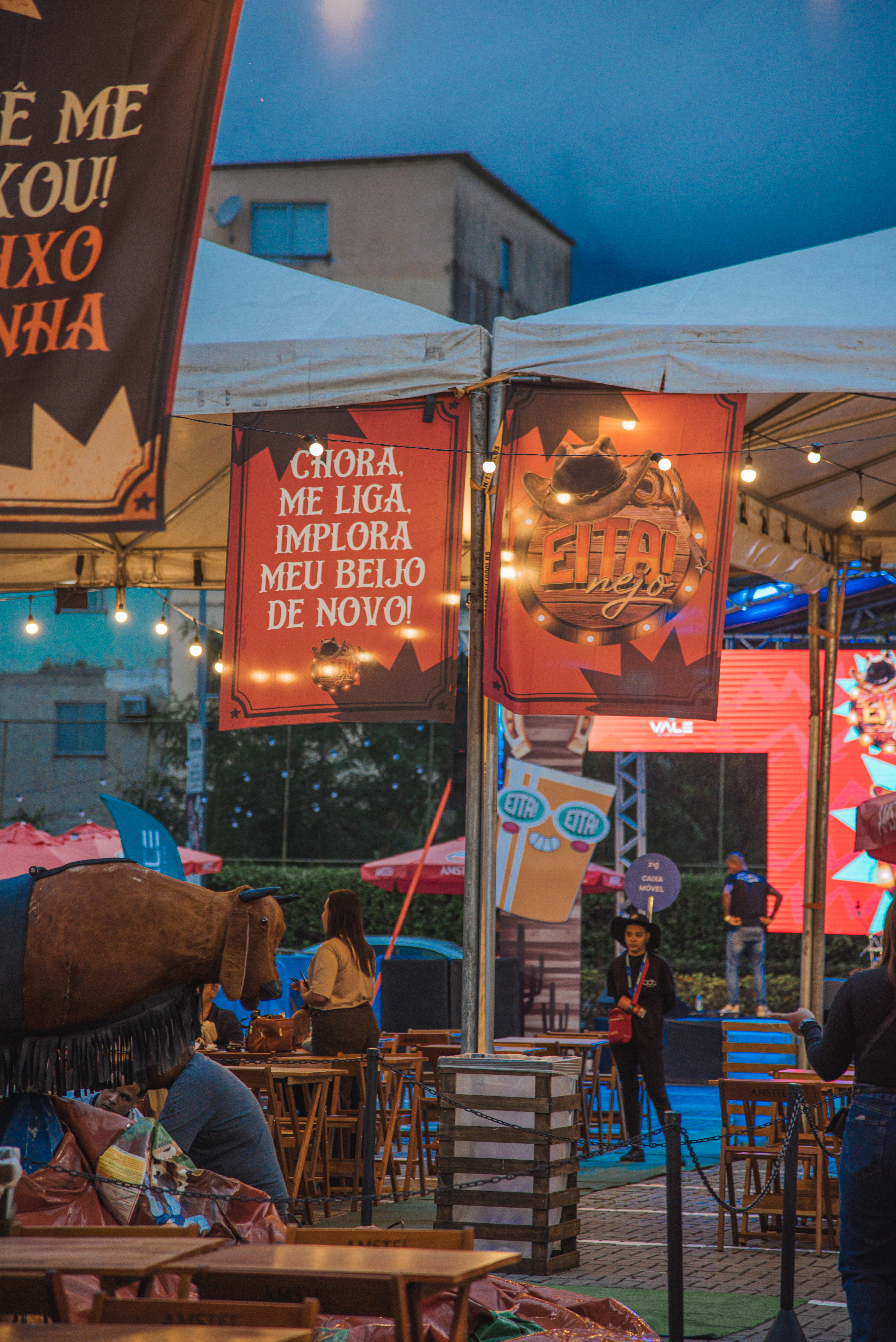 Festival EITA — Music & Entertainment production, photo 9 of 13