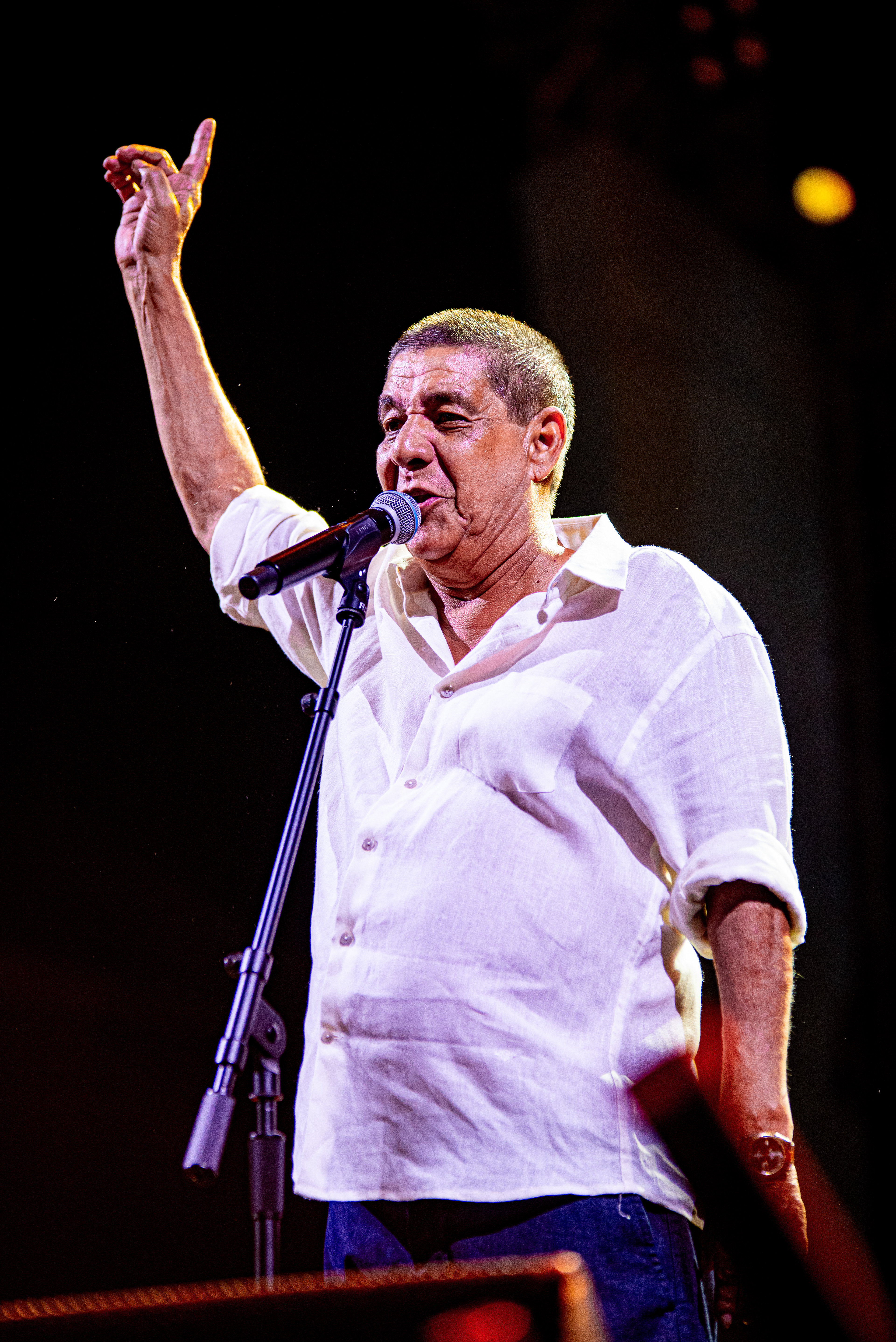 Zeca Pagodinho — Music & Entertainment production, photo 14 of 15