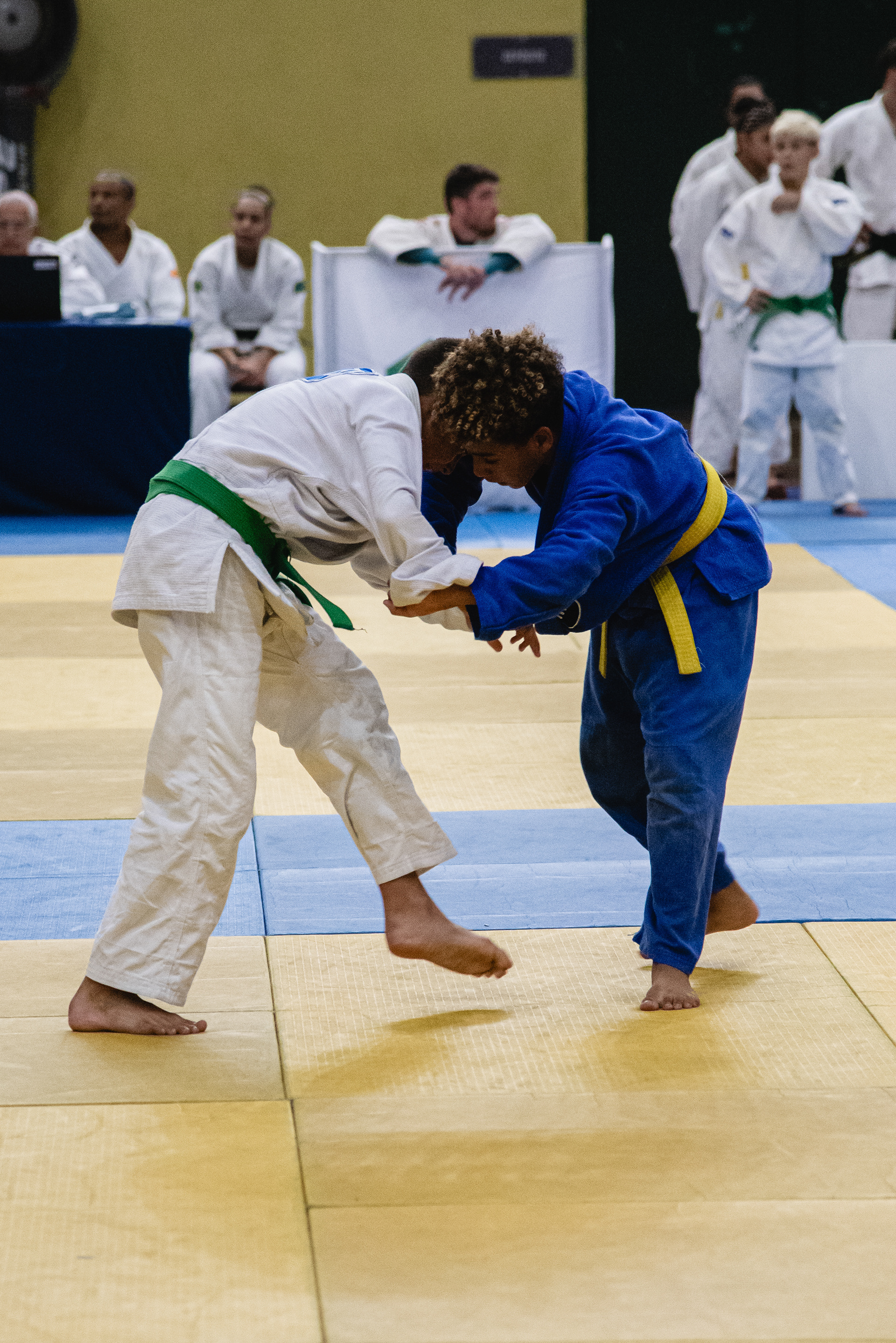 Premier Judo — Sports production, photo 11 of 27