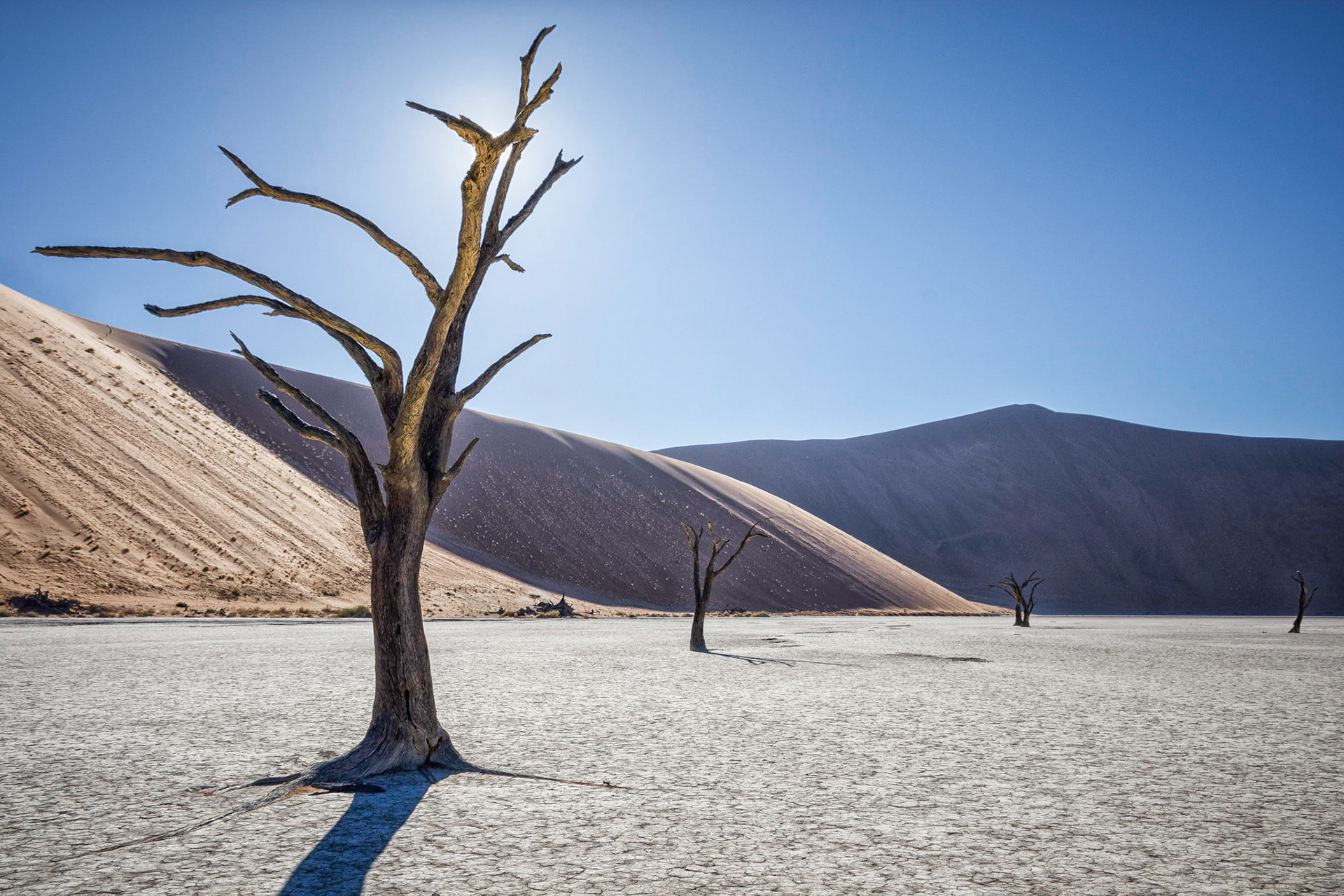 Early morning in Deadvlei, Namibia