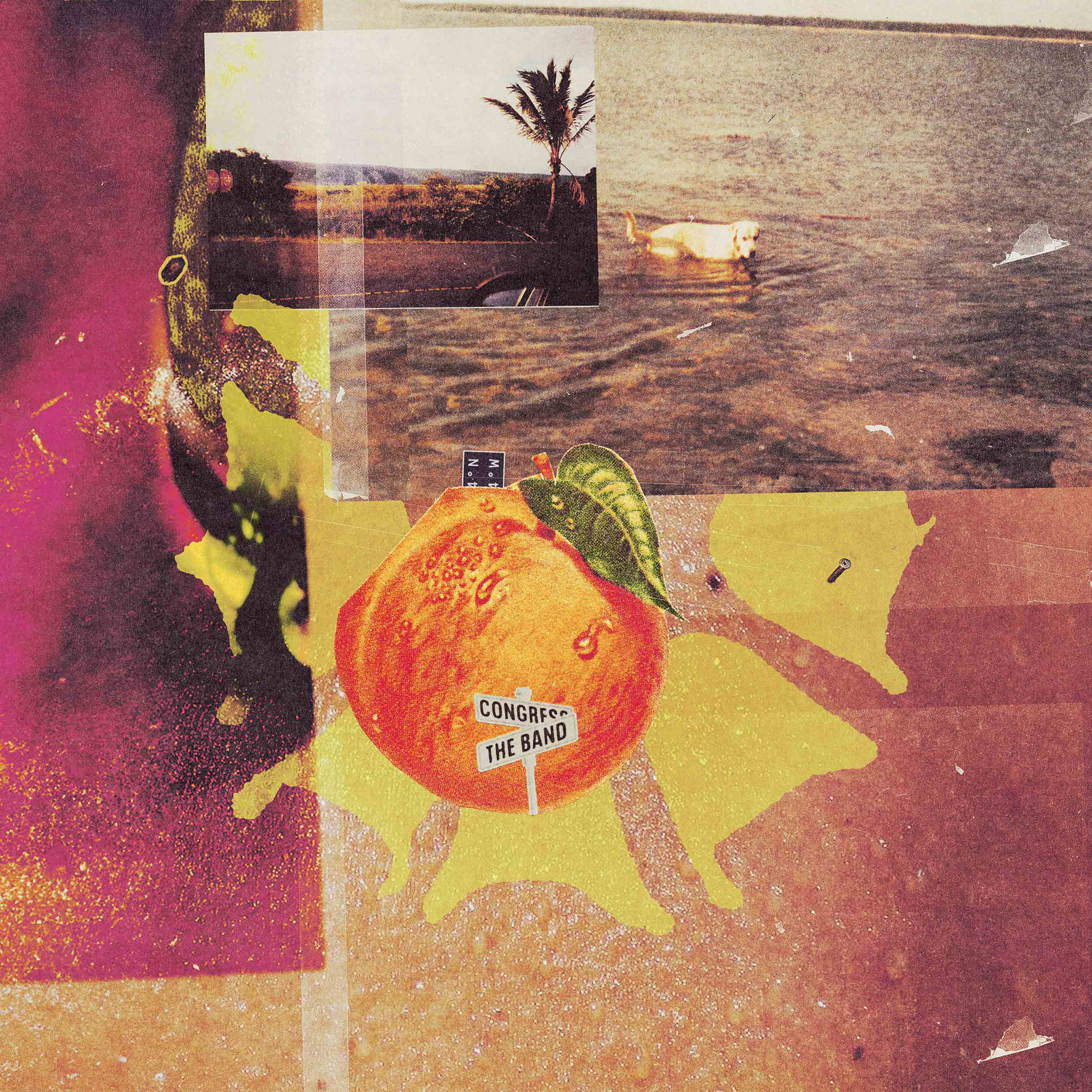 Congress The Band Vinyl Cover - Art and Design by Jonah Strong - Creative Direction by Aaron Stearns and Household Name