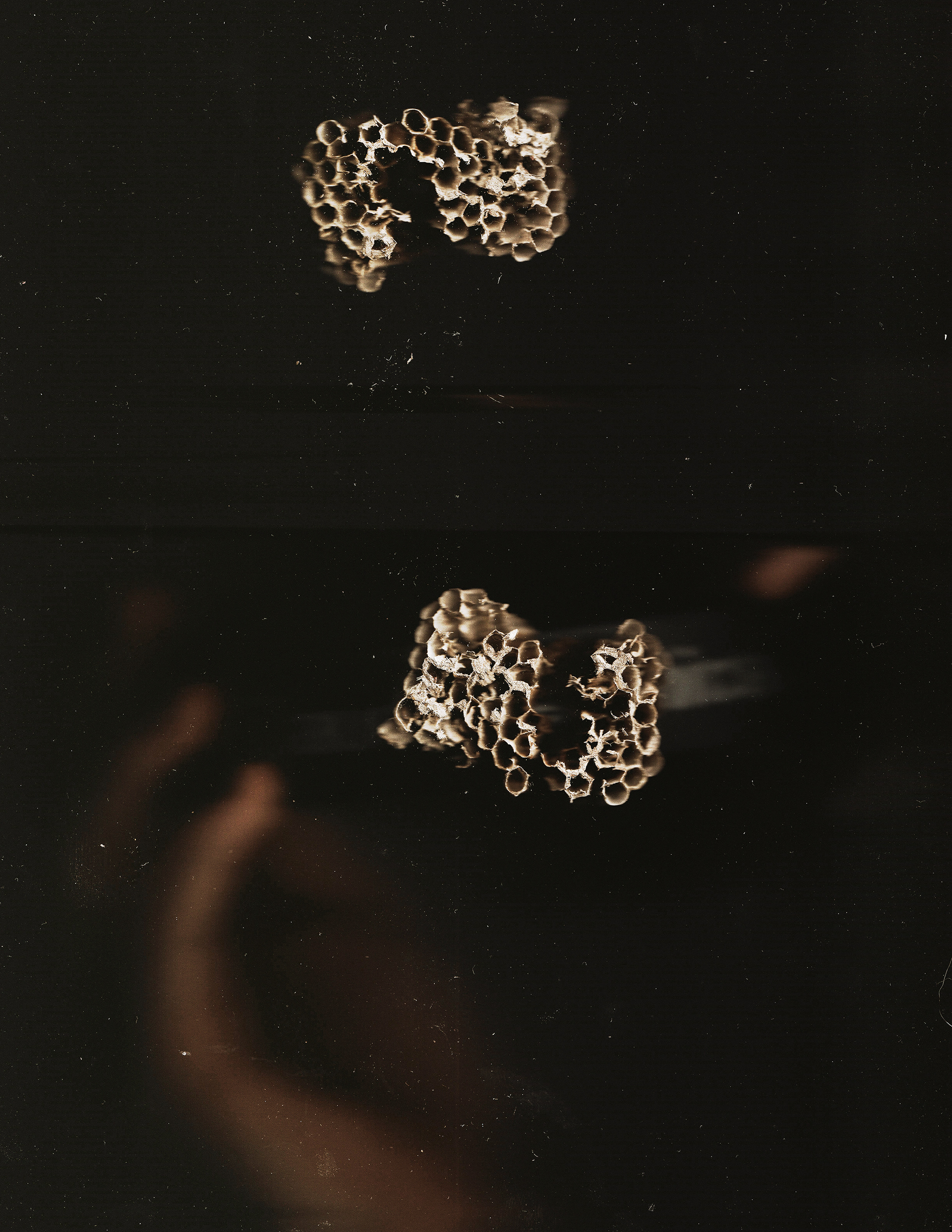 Honey Comb Scan
