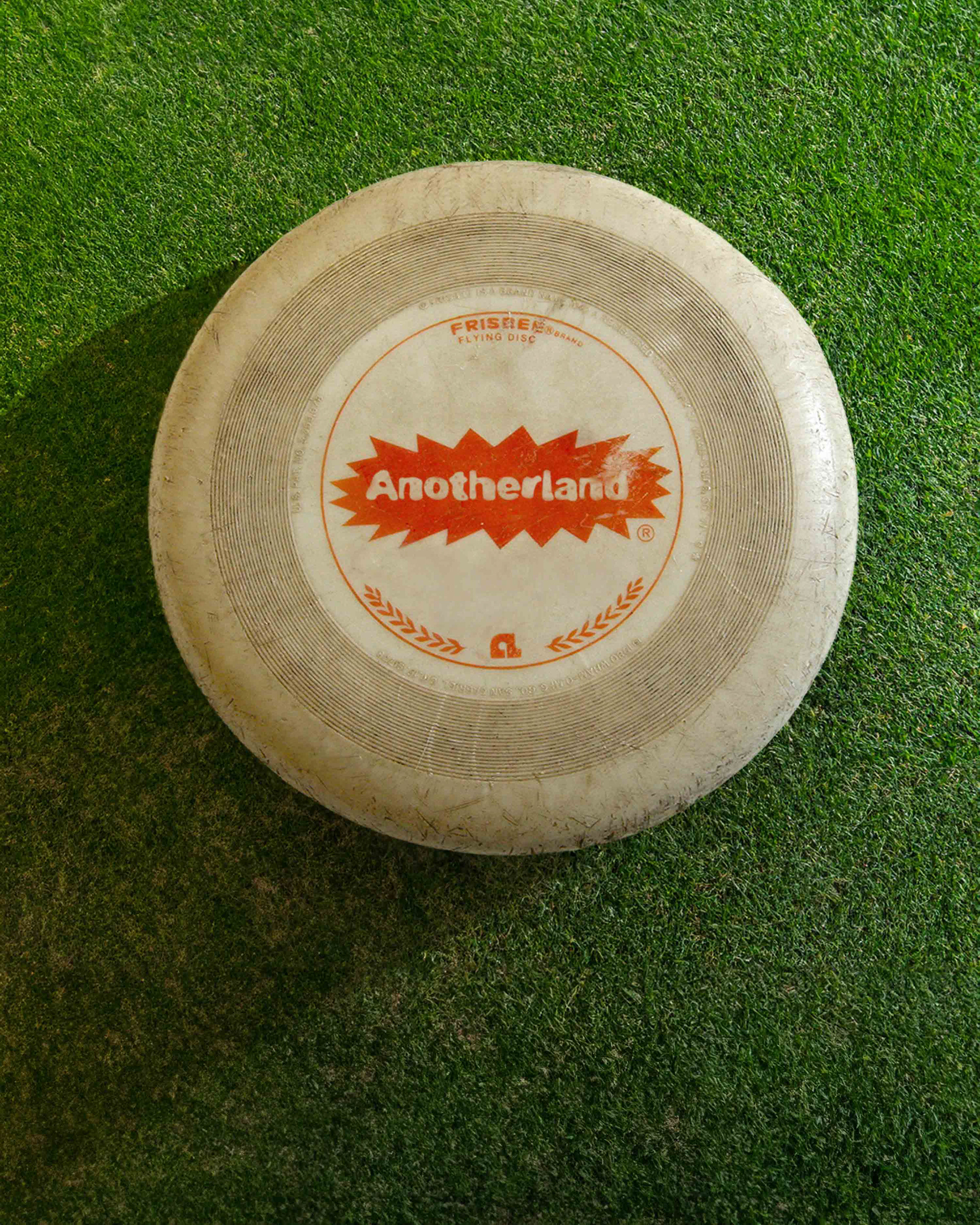 Anotherland Frisbee