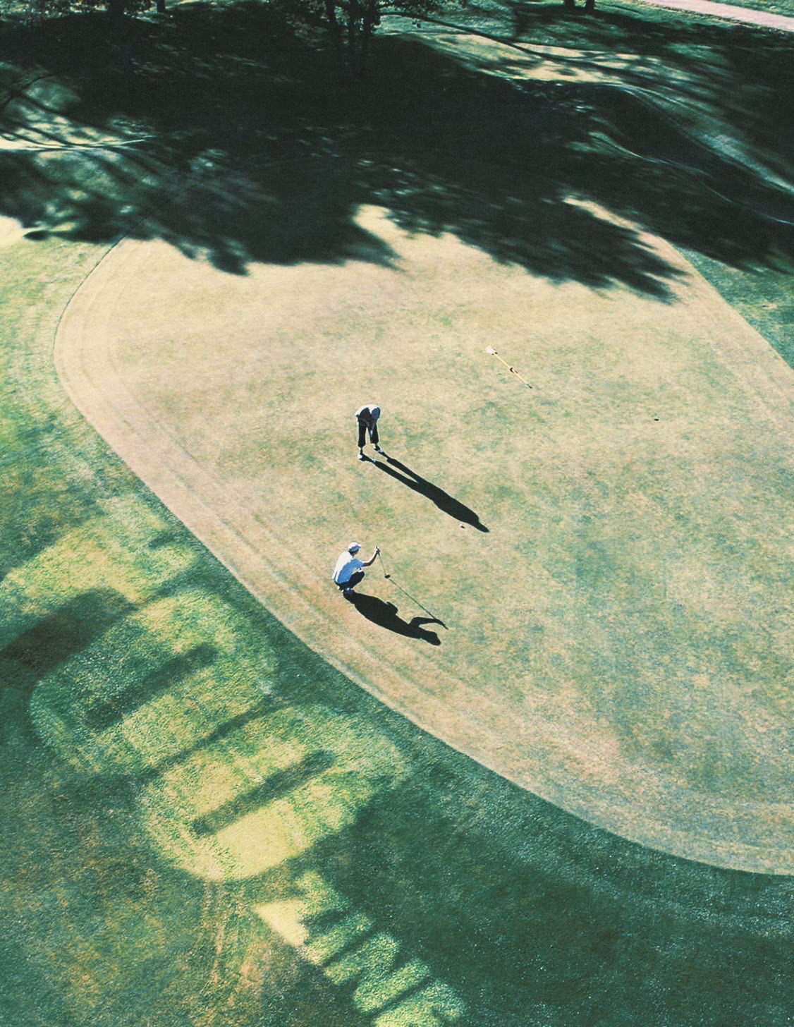 ROOzine Ad - Art, Direction and Design by Jonah Strong