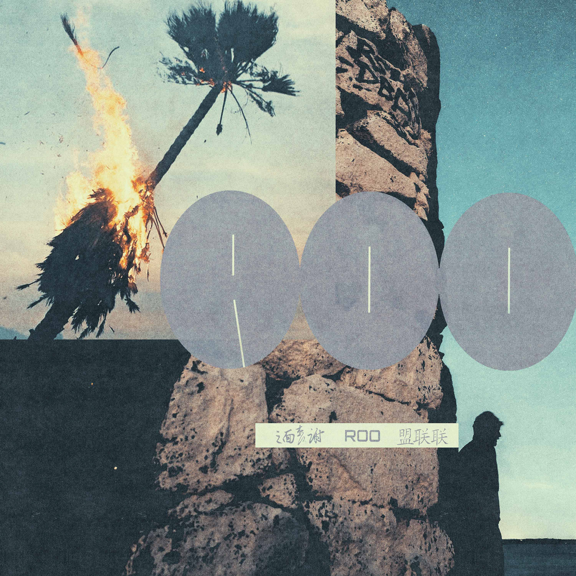 ROO Logo Design and Edit - Art, Direction and Design by Jonah Strong