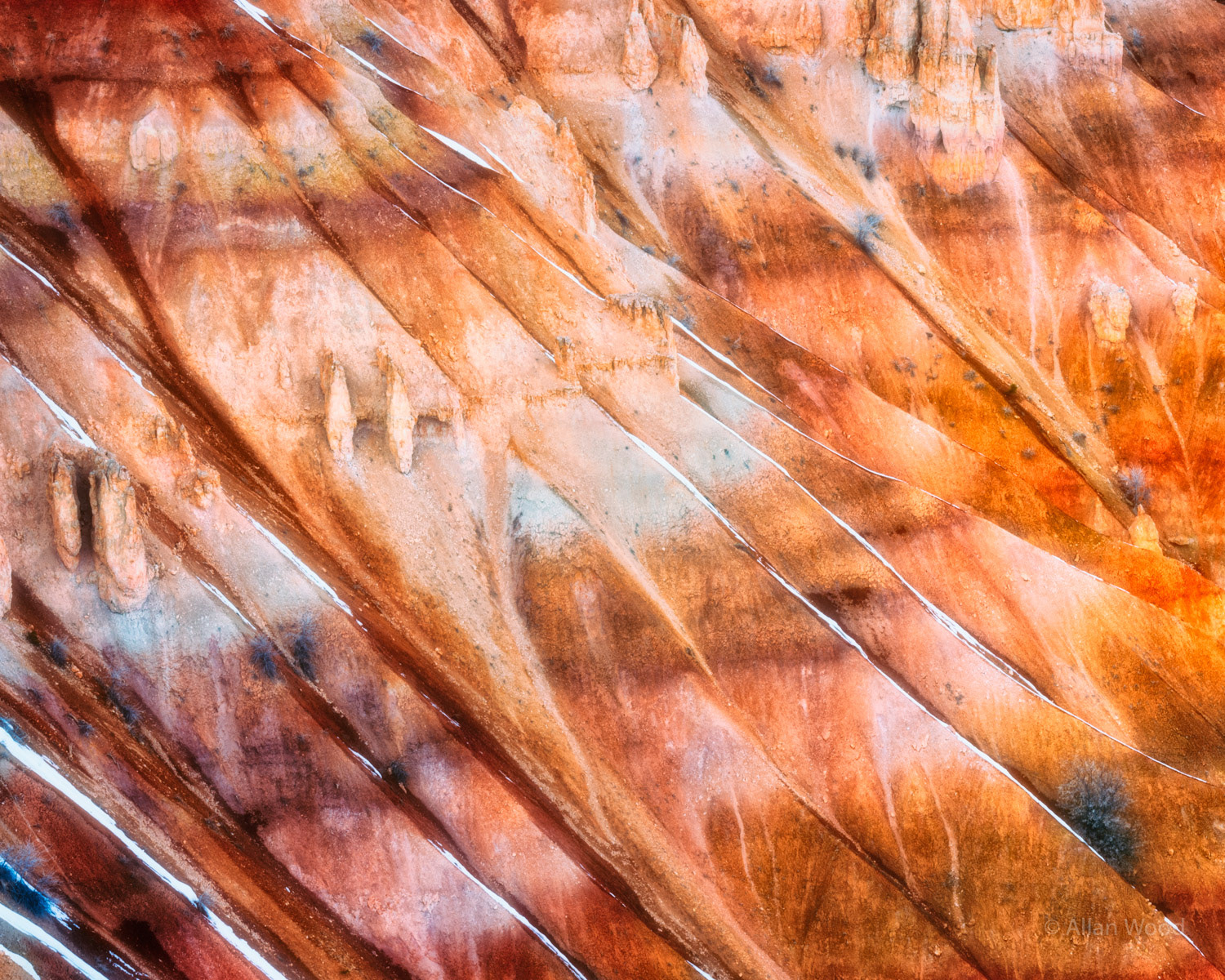 Bryce Canyon Colors