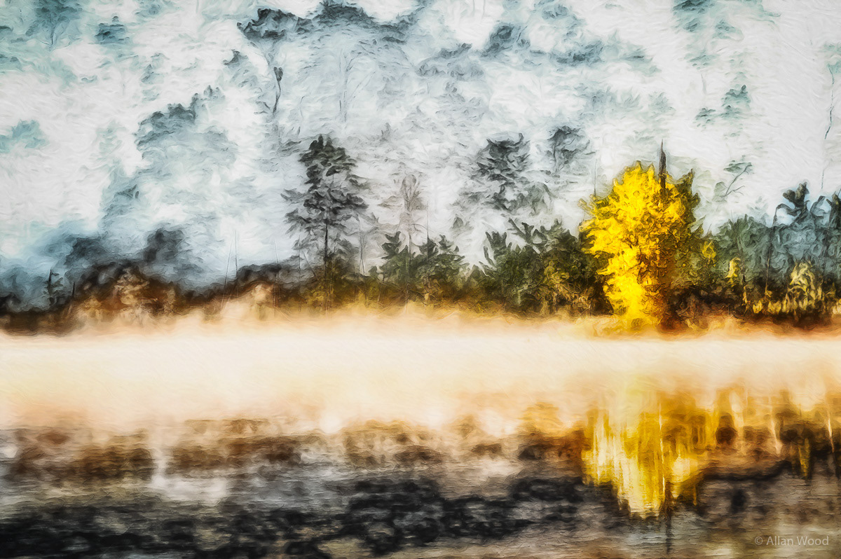 Morning Glow on Mud Pond