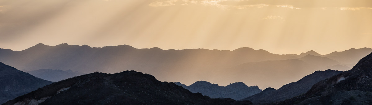 Chemehuevi Sunbeams