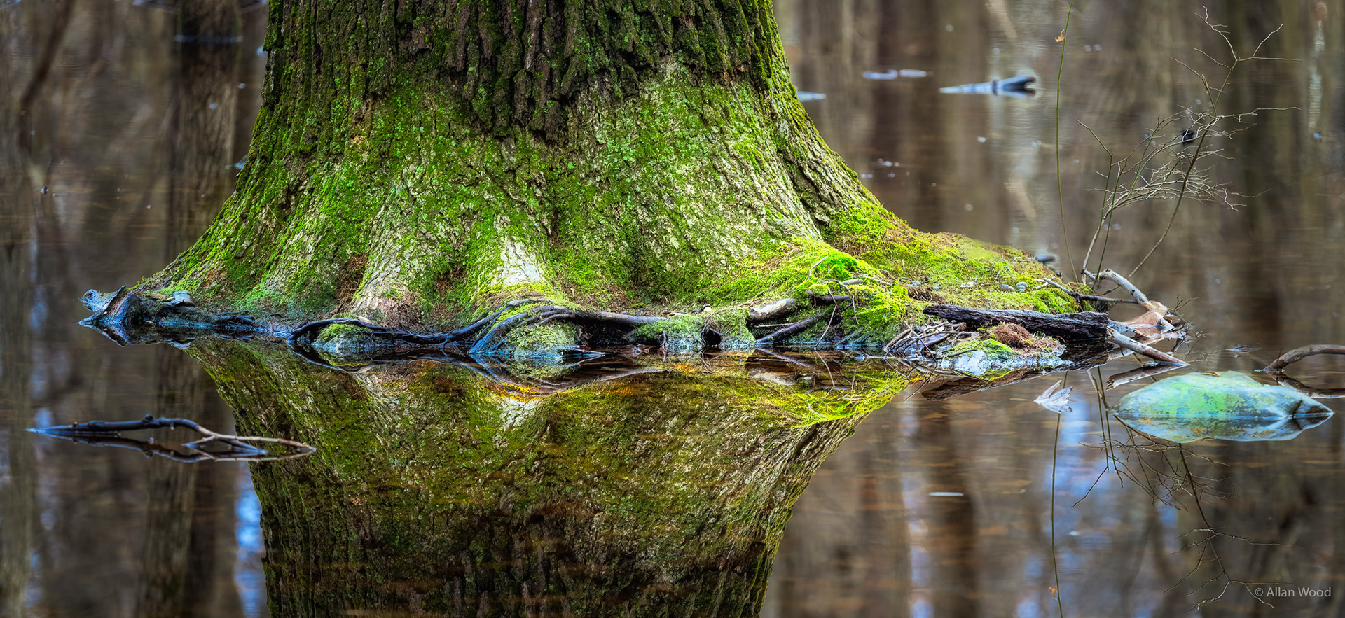 Augen Reflections