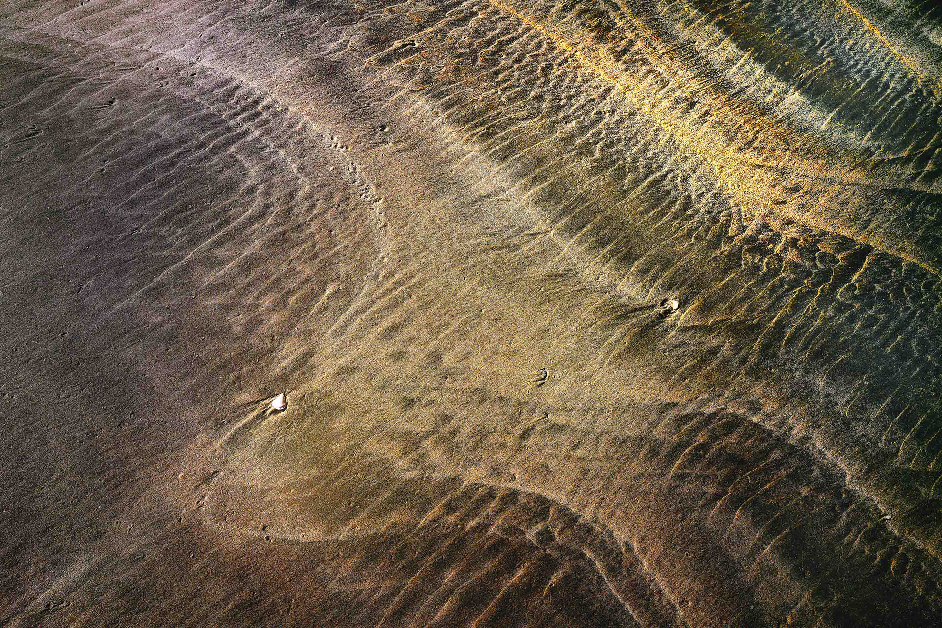 Sand flow and Toheroa