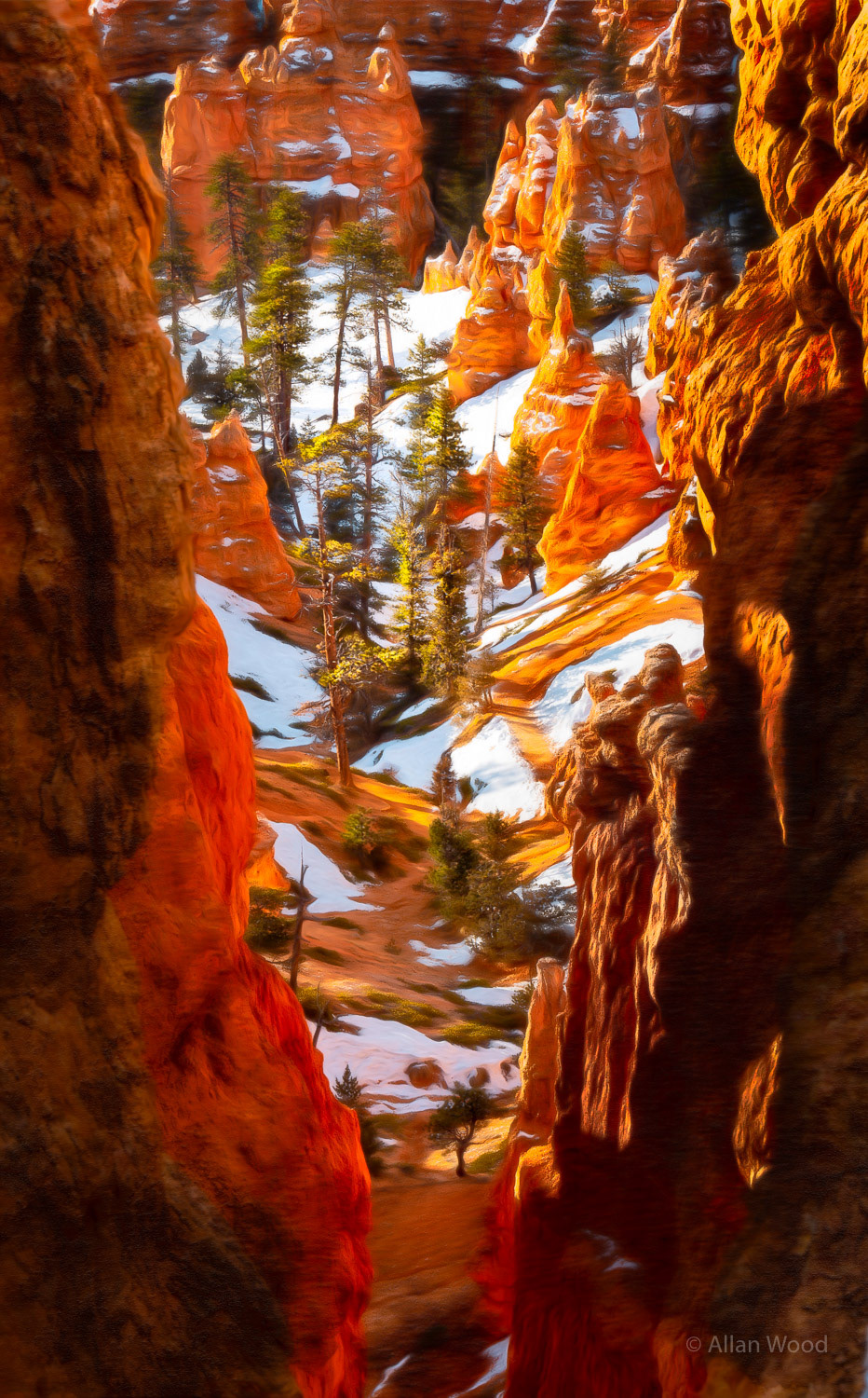 Bryce Canyon Magic Valley