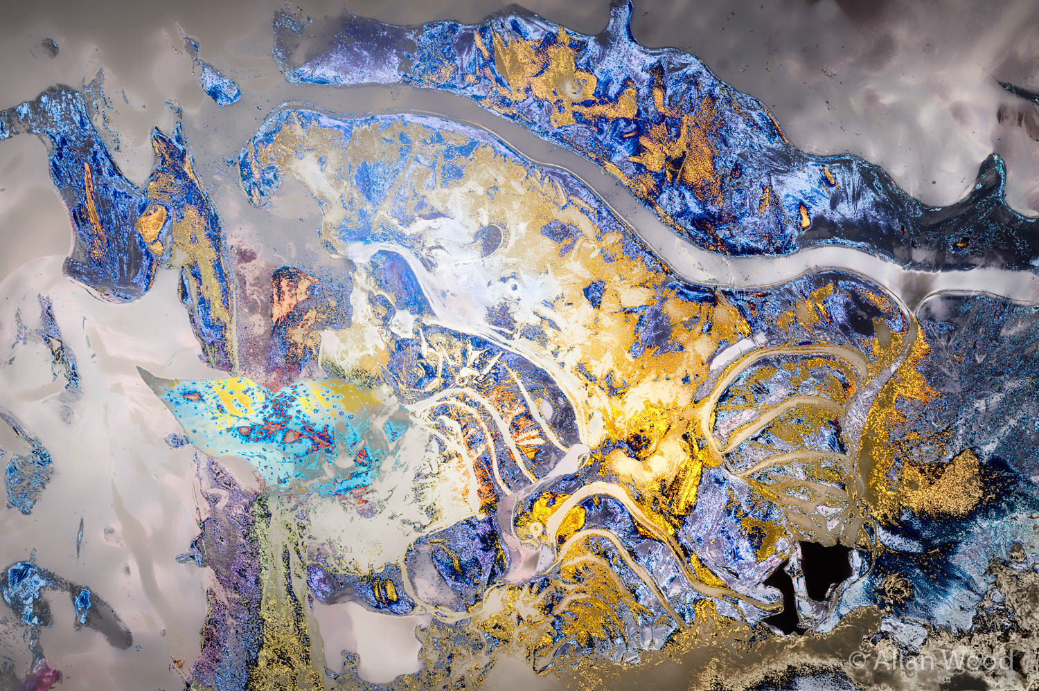 Marshlands Map