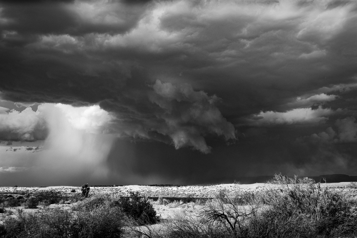 Jaws of a Storm