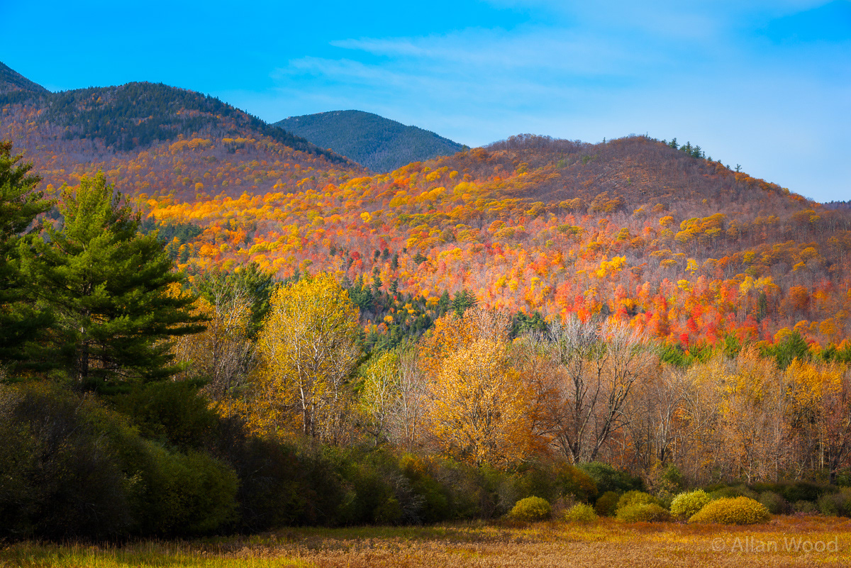 Fall Colors Cascade Mountain
