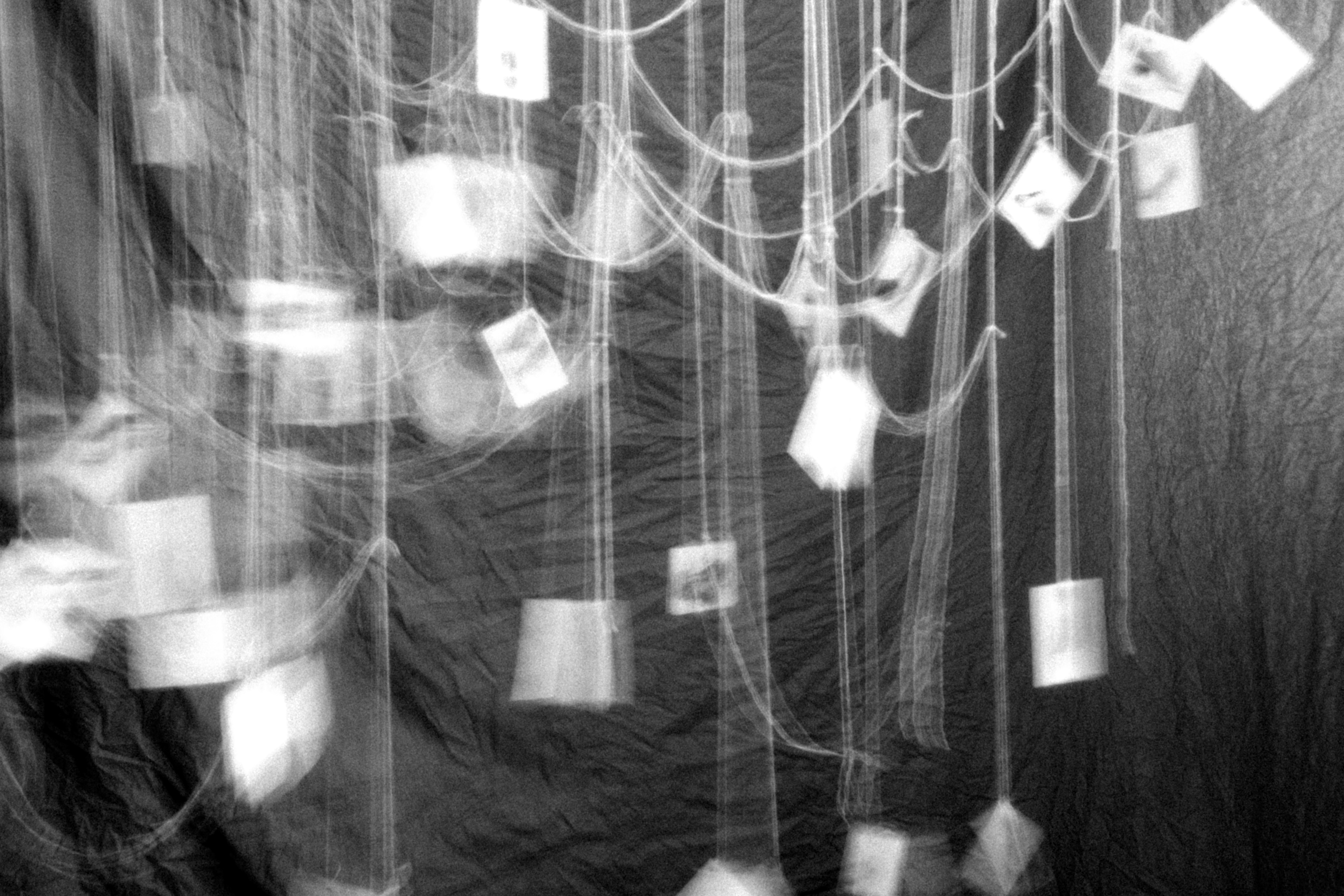  Process view Photograph documenting construction phase, 2025