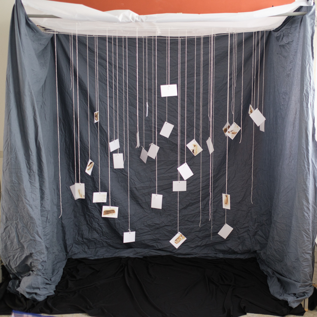  Process view Photograph documenting construction phase, 2025