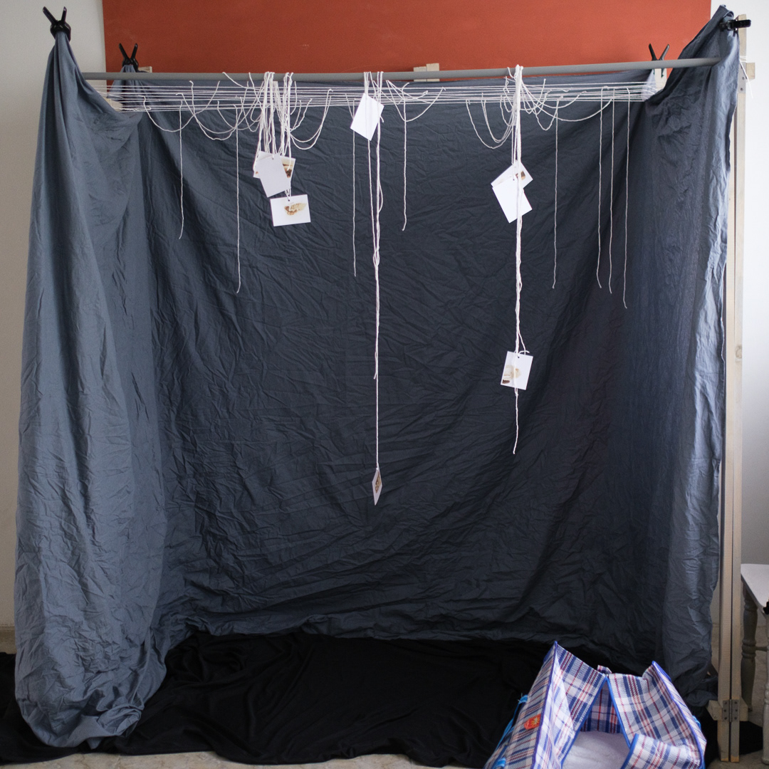  Process view Photograph documenting construction phase, 2025