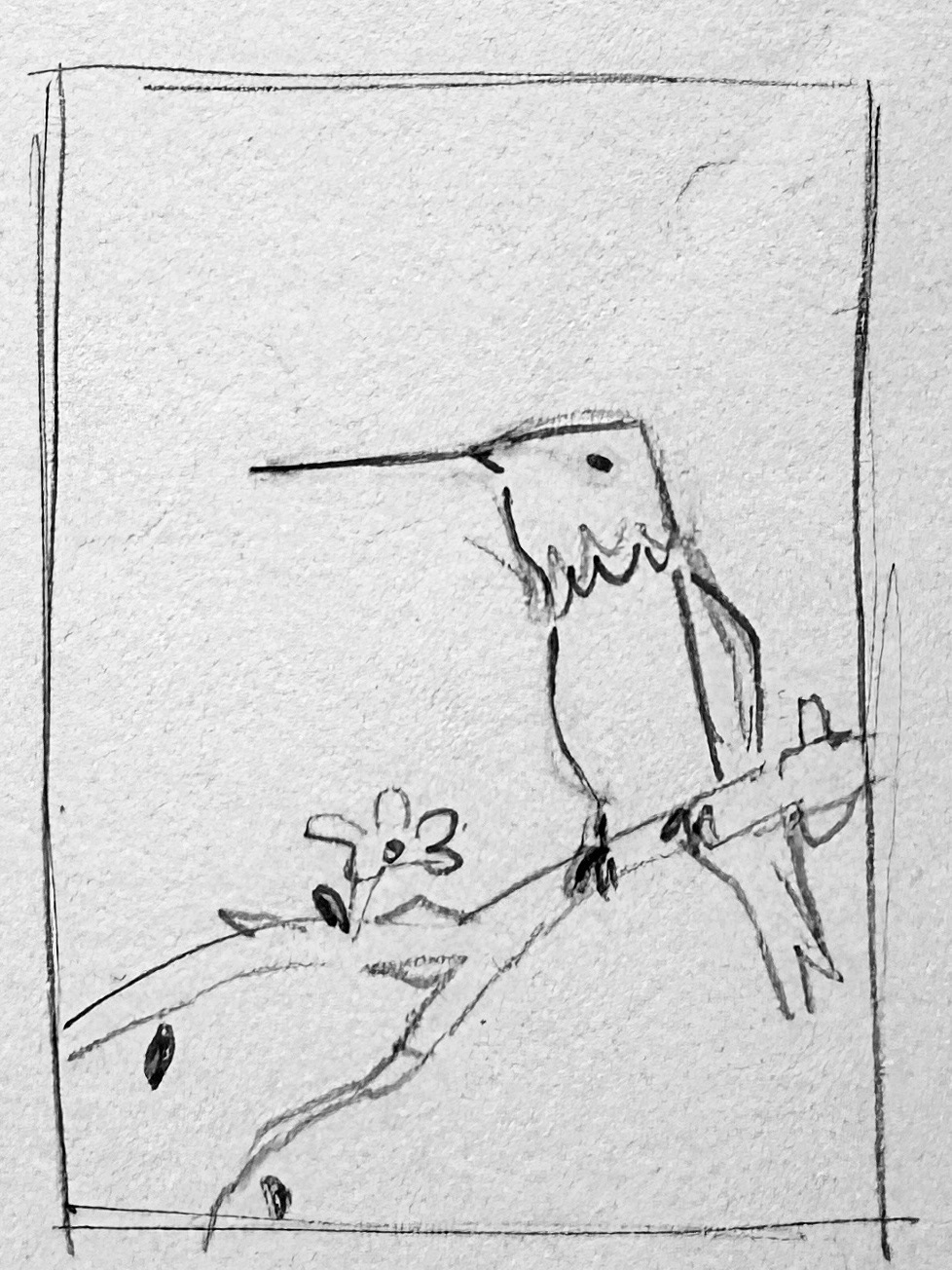 "Hummingbird" Album Cover - Sketch