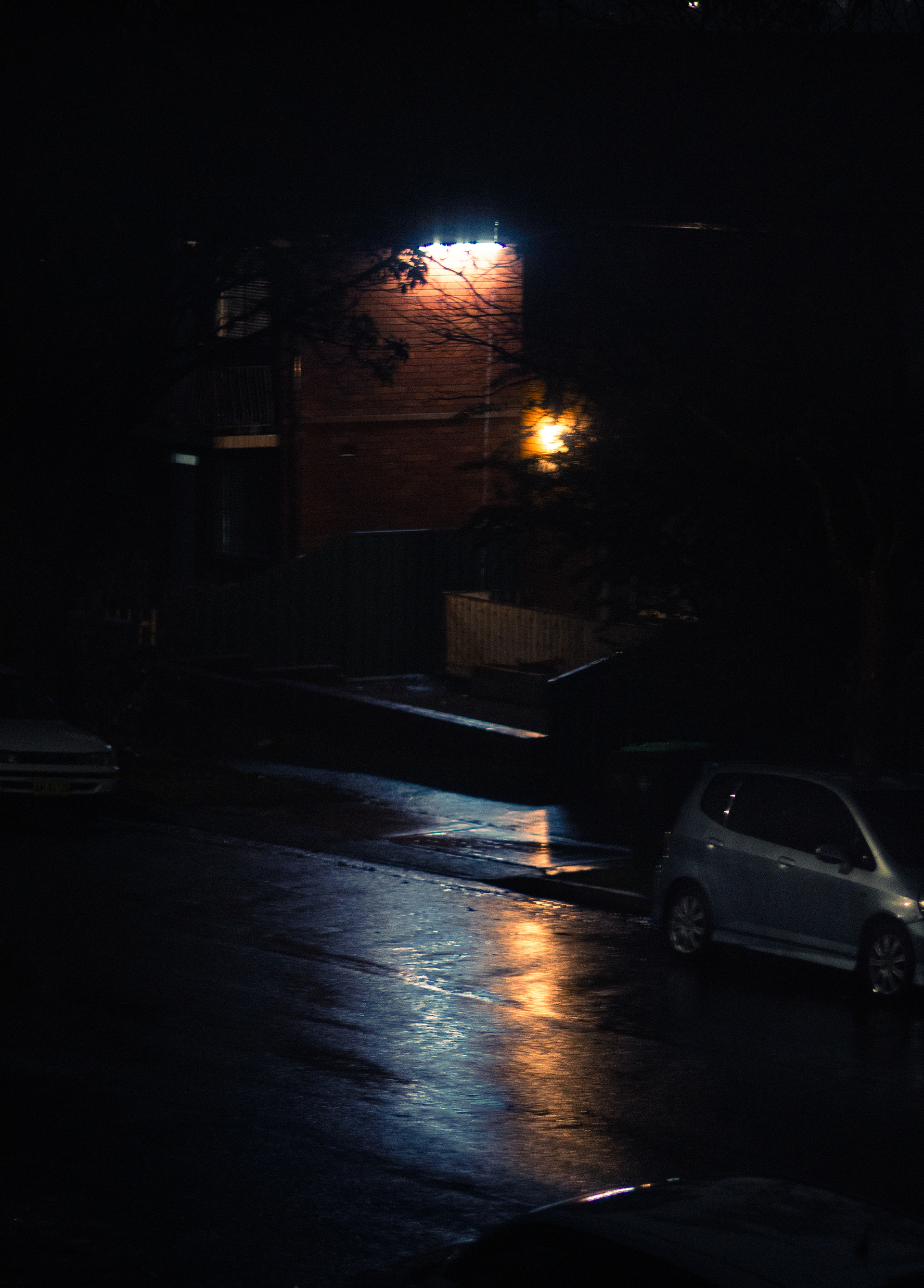Shutter 1/50 | 2.8 | ISO 1250