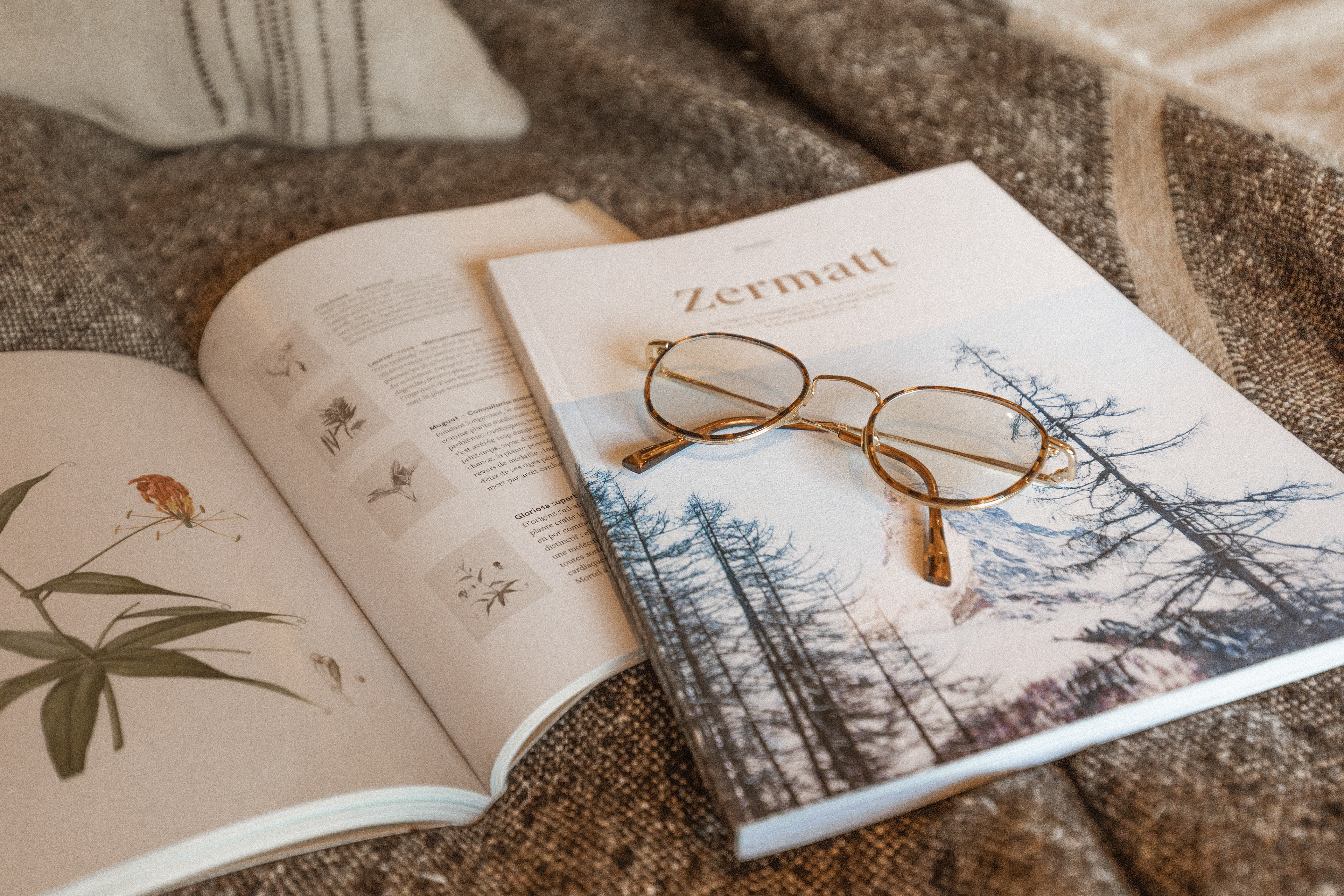Projet " Lodge les Murailles "