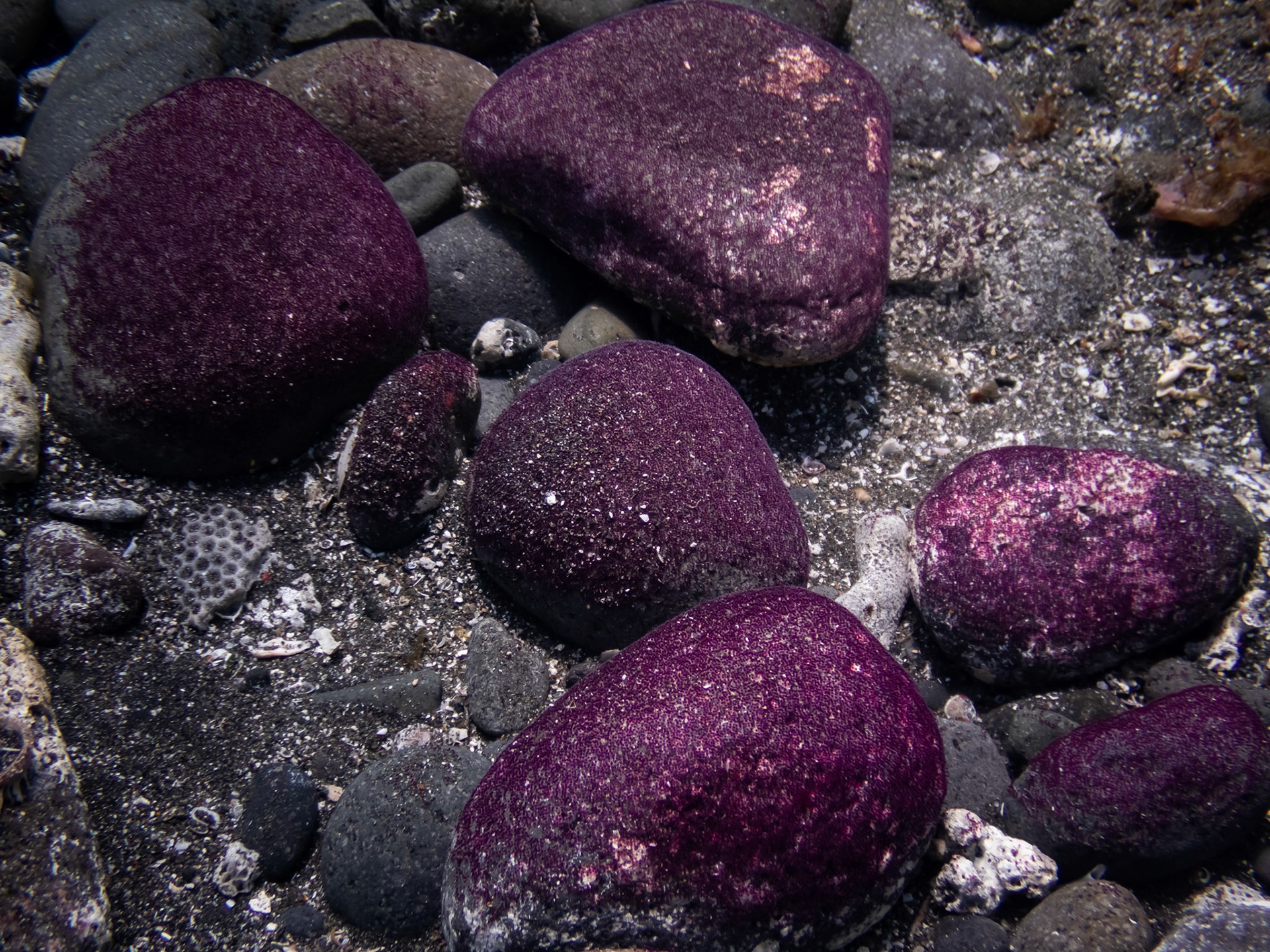 Ponte de Sergent Major