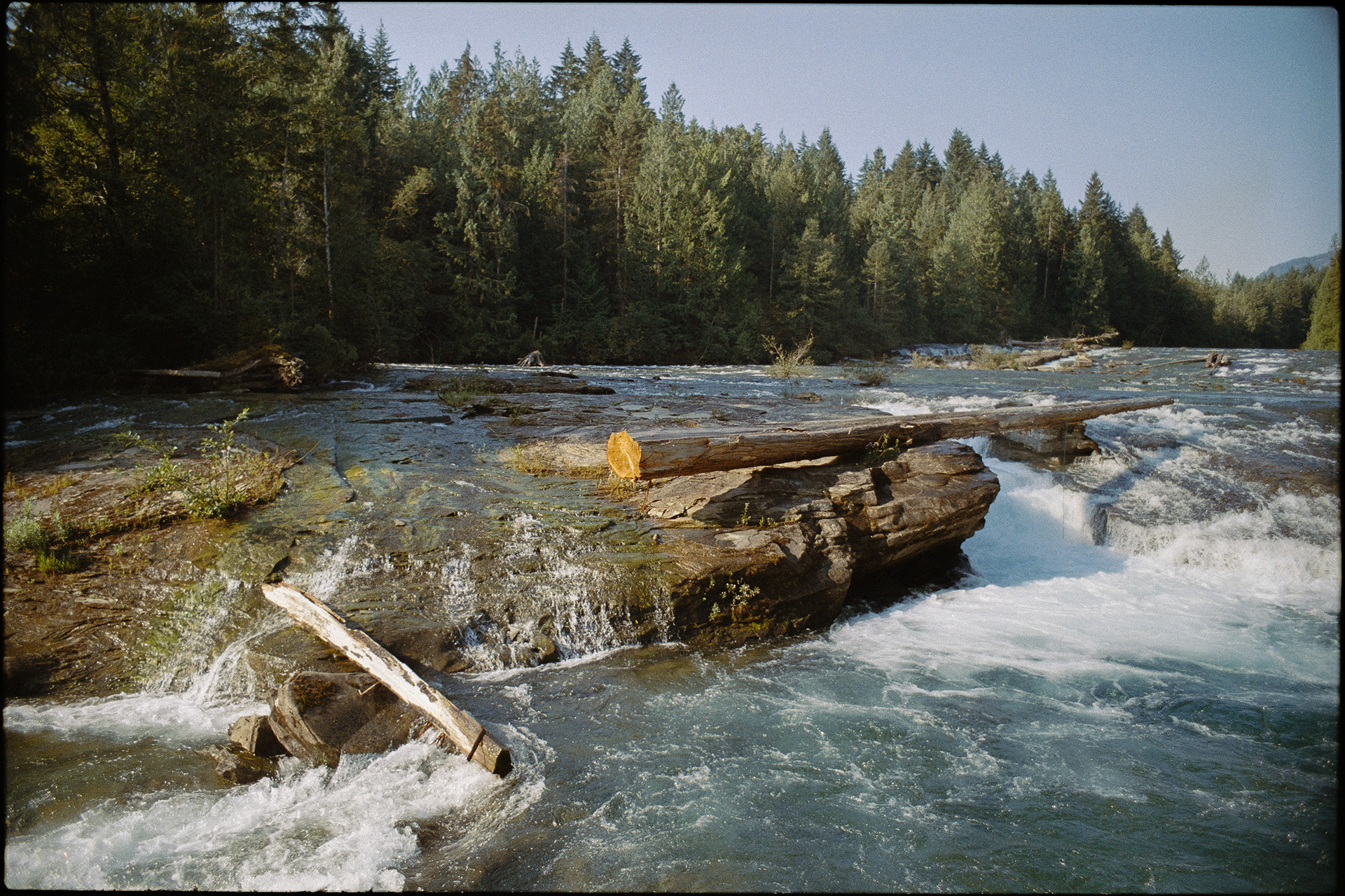 VANCOUVER ISLAND, BC (2024)