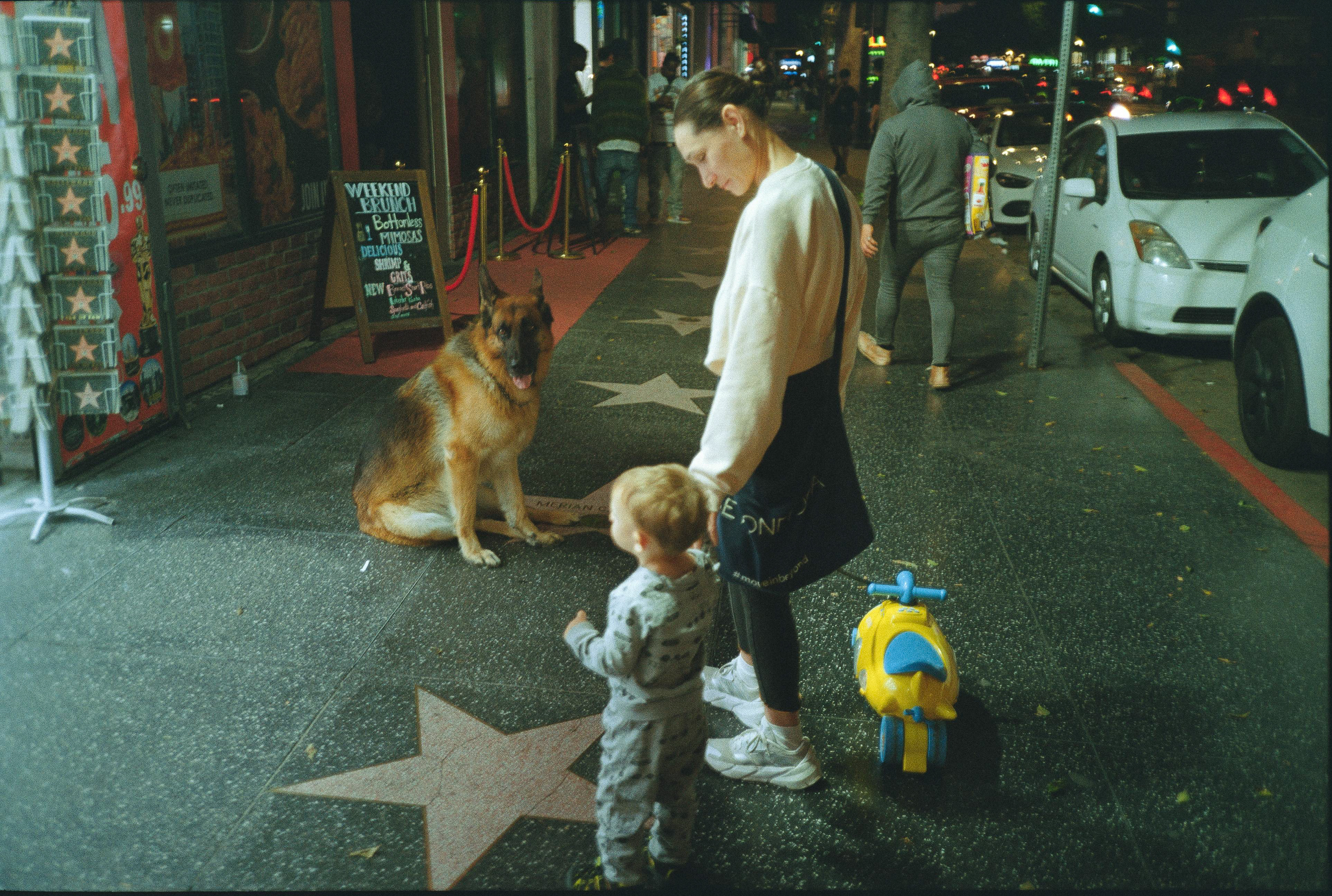 LOS ANGELES, CA (2025)