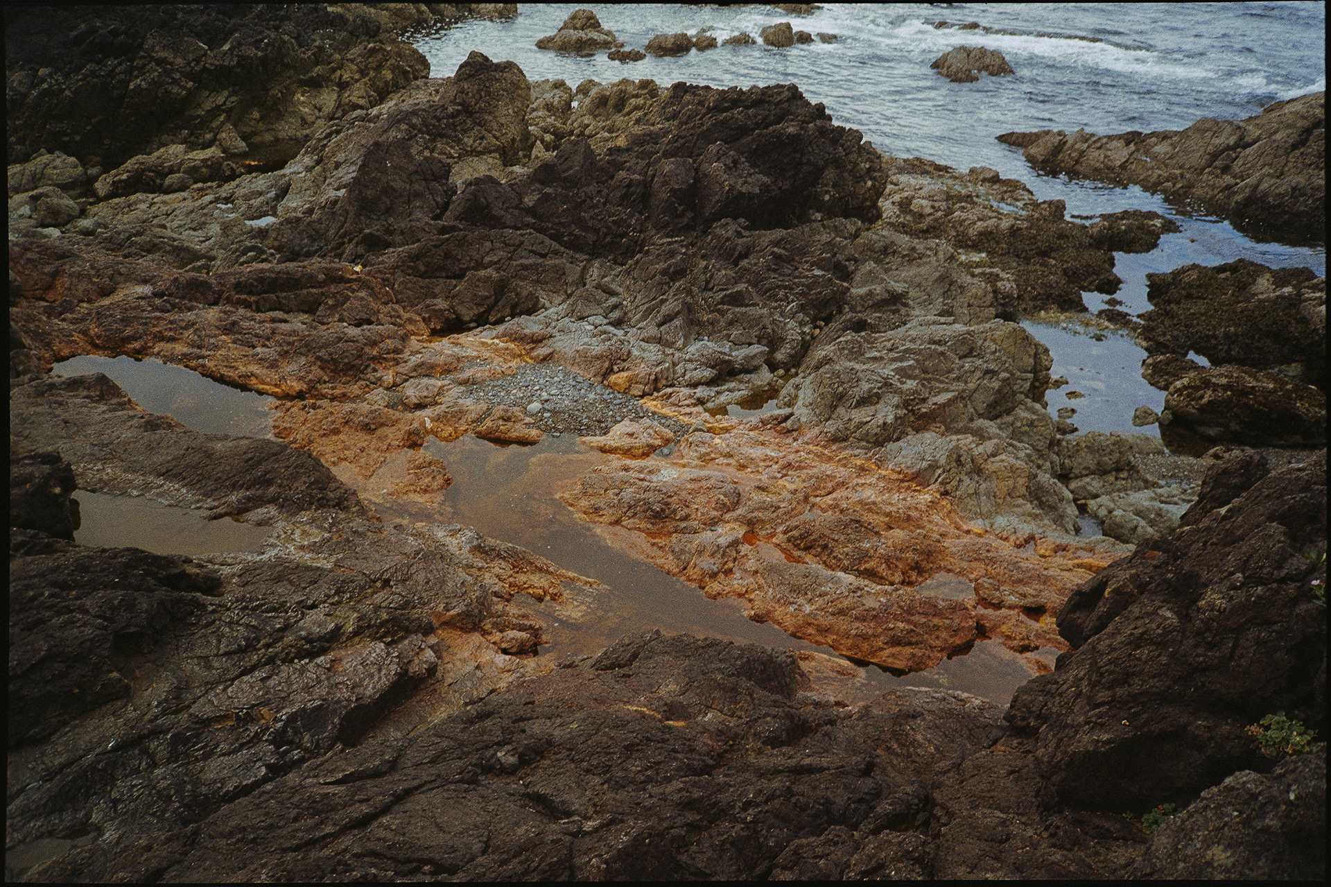 VANCOUVER ISLAND, BC (2024)