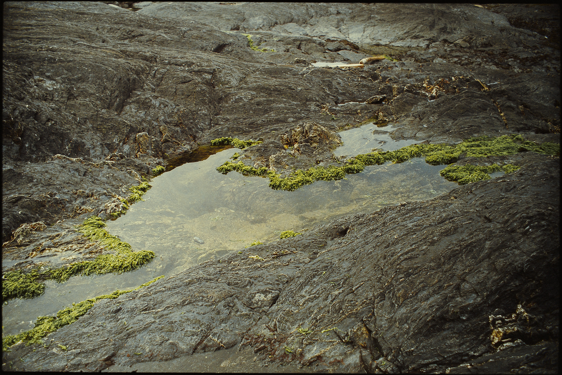 VANCOUVER ISLAND, BC (2024)