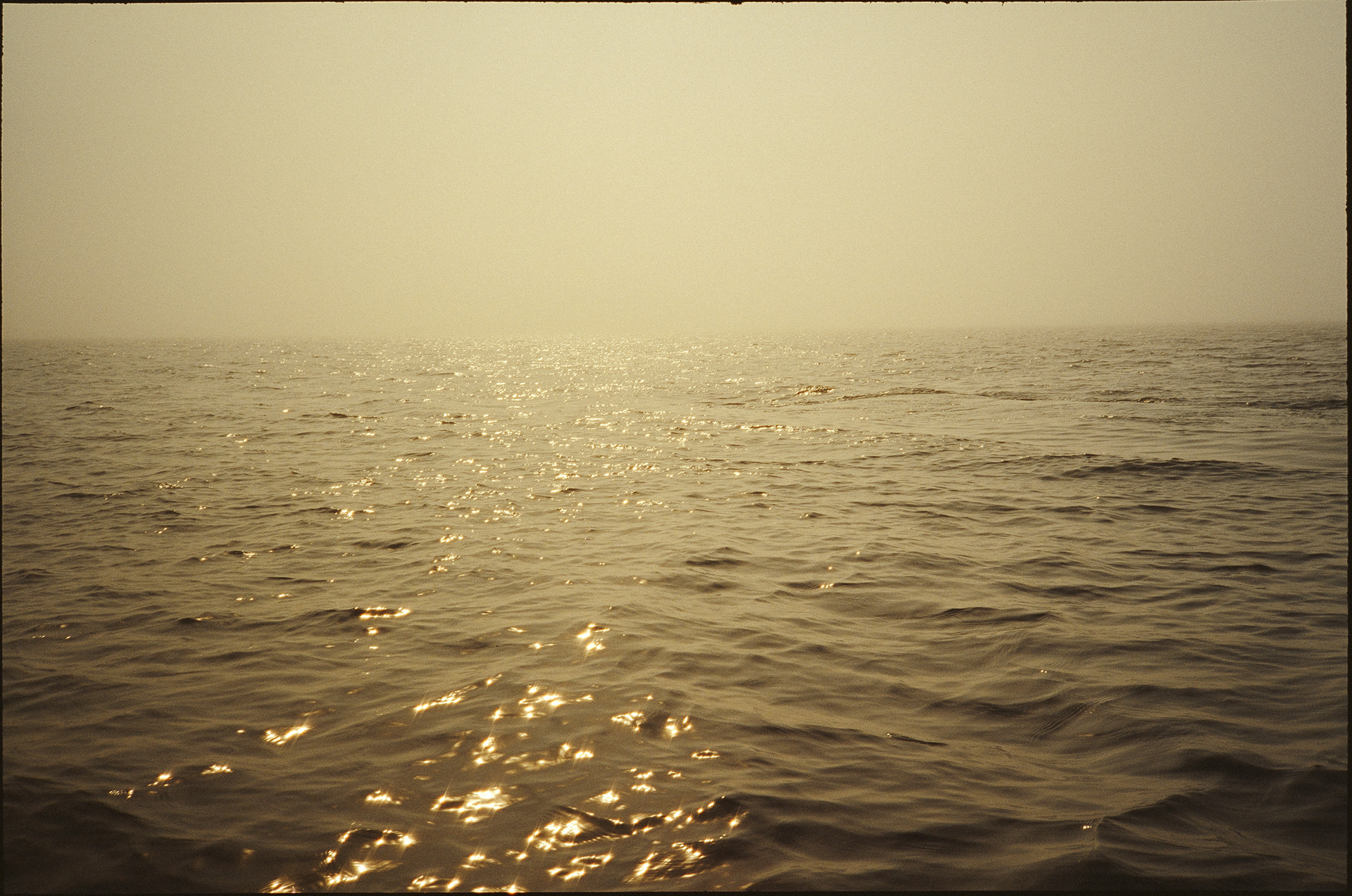 VANCOUVER ISLAND, BC (2024)