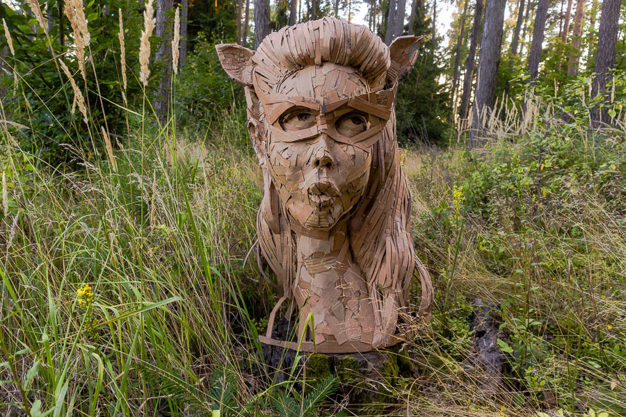 WEIZ 2026: METAMORPHOSIS