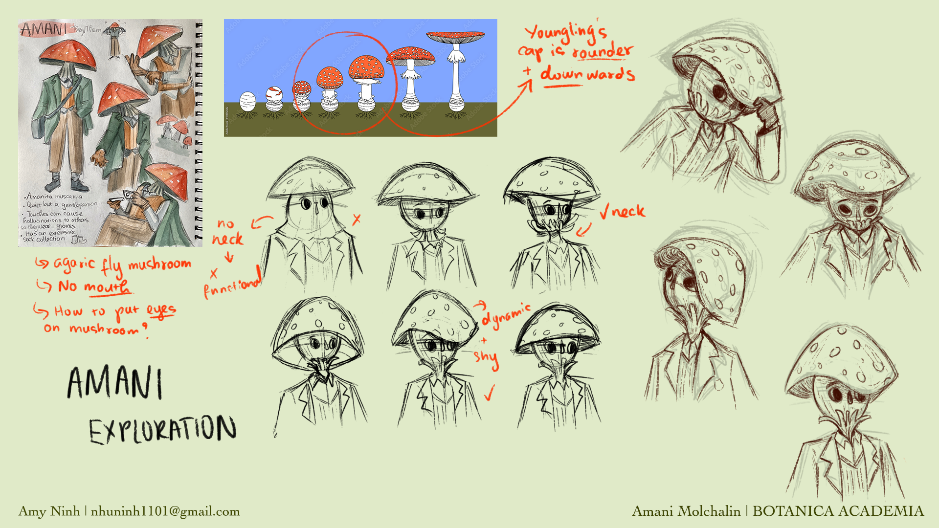 Amani Character Exploration