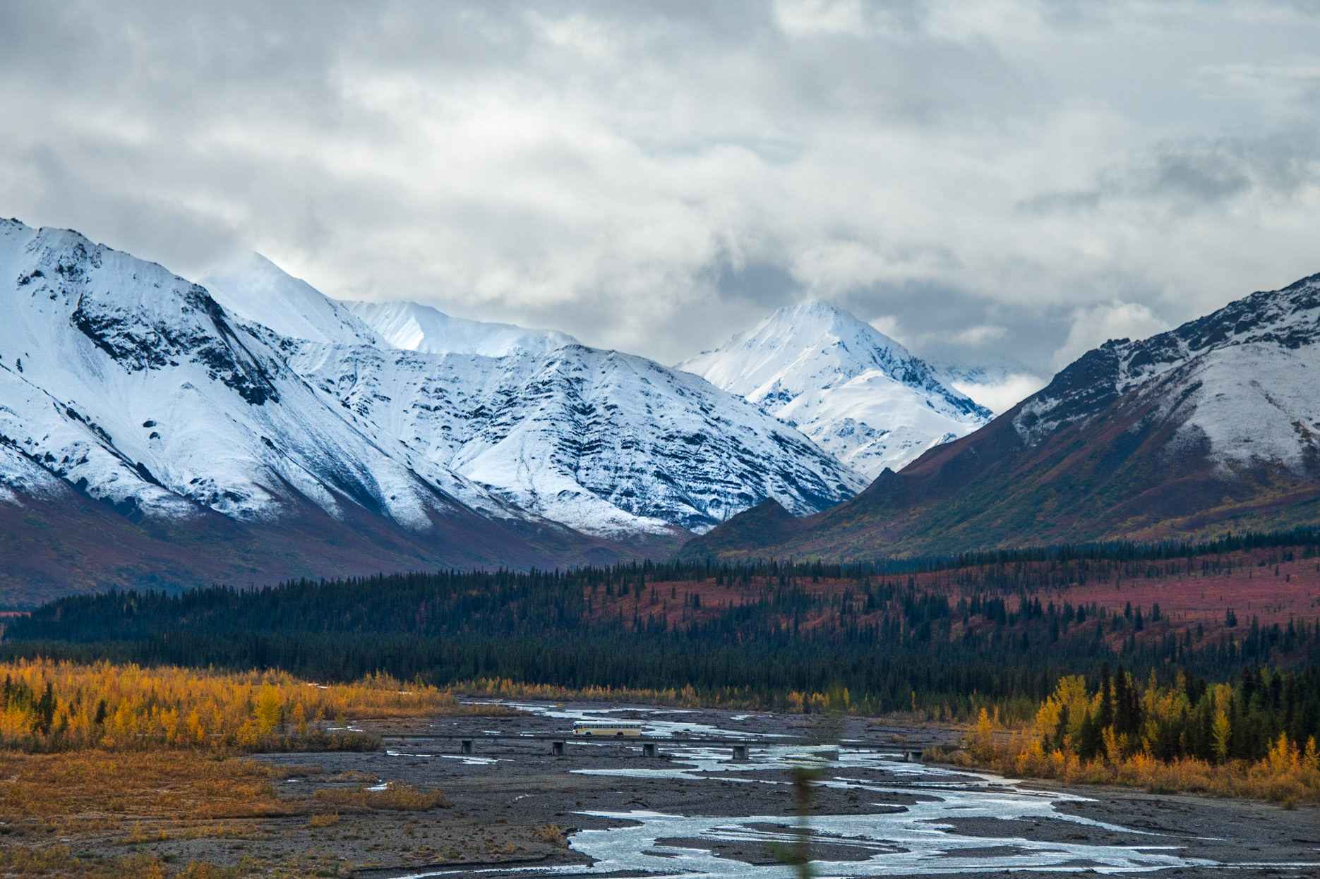 Denali National Park Alask
