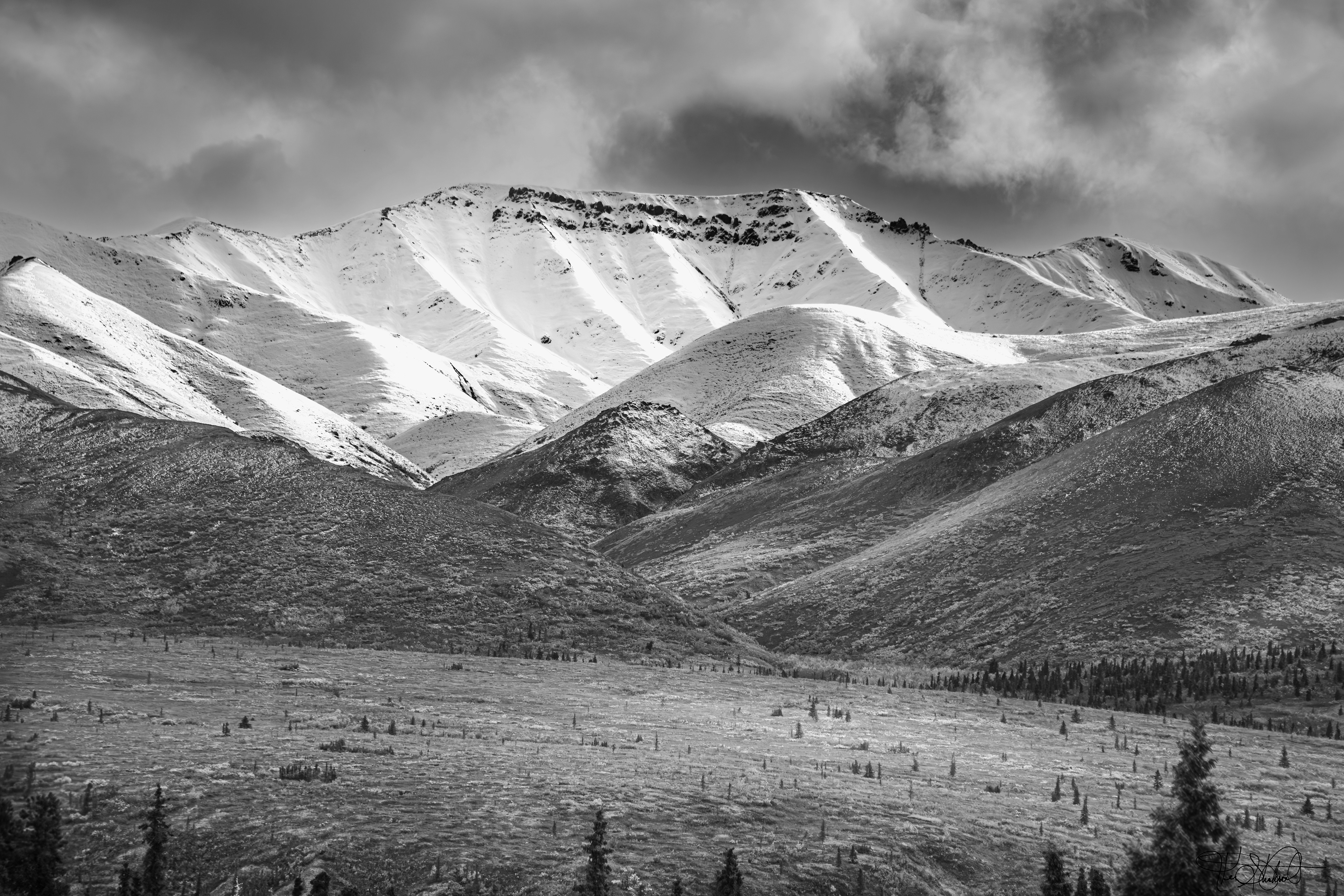 Mountains of Denali National Park