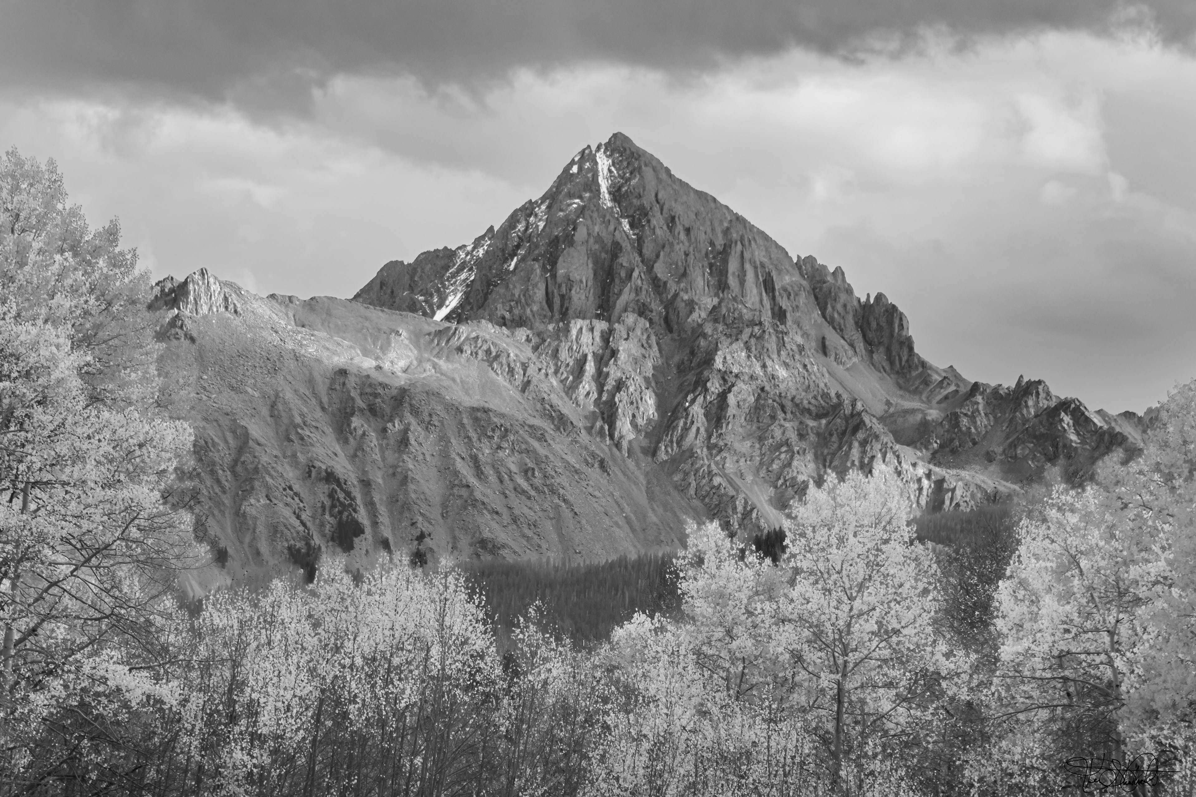 Mountains of Denali National Park