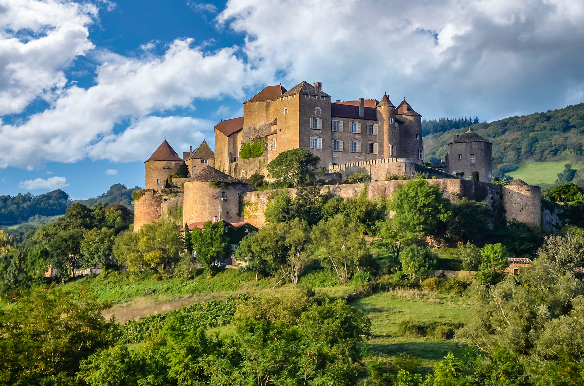 C'est un château fort médiéval dont la présence est attestée dès le Xème siècle au sommet d'un éperon rocheux militairement stratégique du Moyen Âge, face à la Roche de Solutré. Il domine de façon panoramique, la vallée de la Petite-Grosne, et le vignoble du Mâconnais, aujourd'hui appelé le Val Lamartinien. Et sa fonction était de contrôler entre autre la route entre le comté de Mâcon, et le Morvan du comté de Nevers, mais aussi l'accès vers l'abbaye de Cluny.Restauré et habité, donc en très bon état, il se visite et c'est un moment bien agréable.