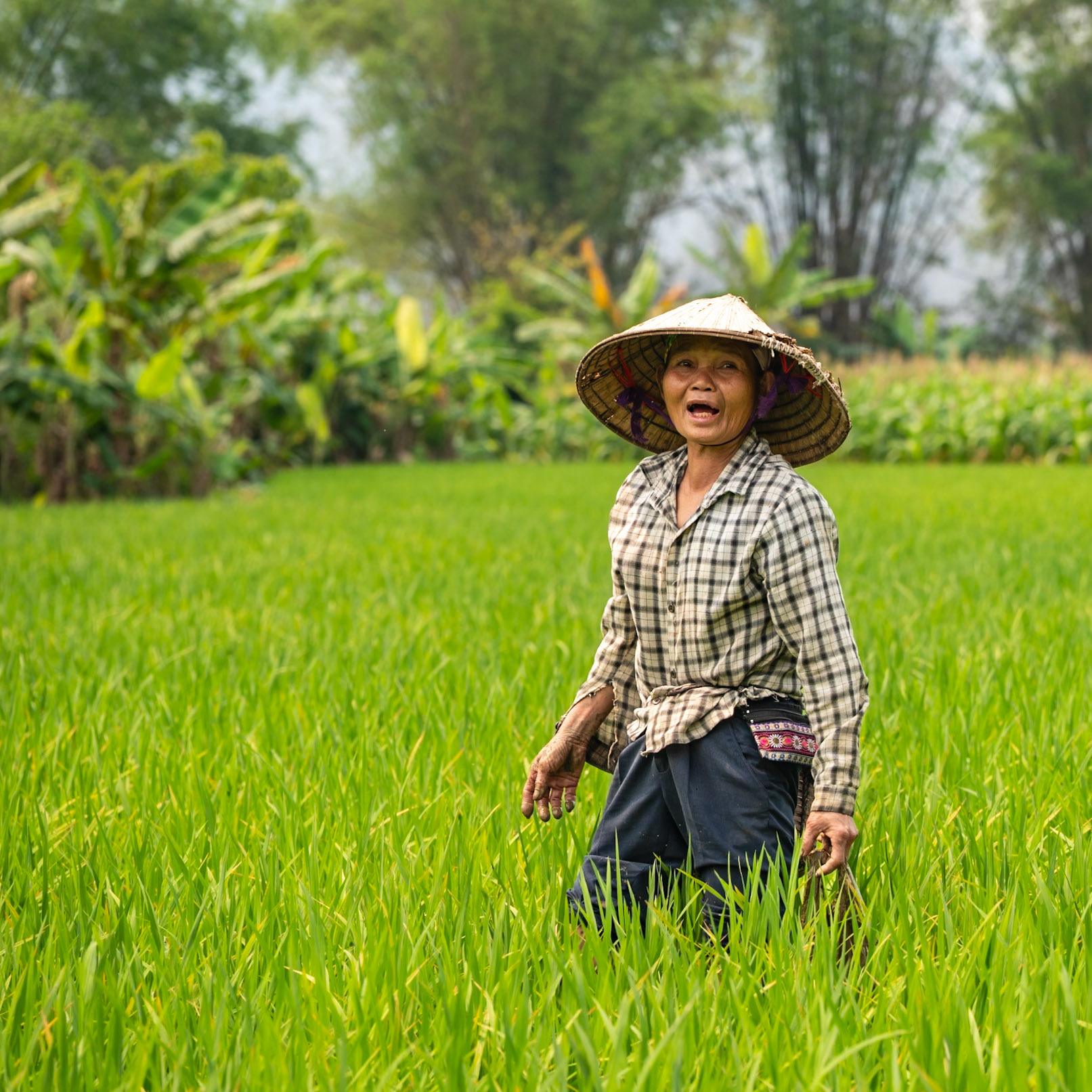 Ses pas dessinent la terre, et la terre lui répond.