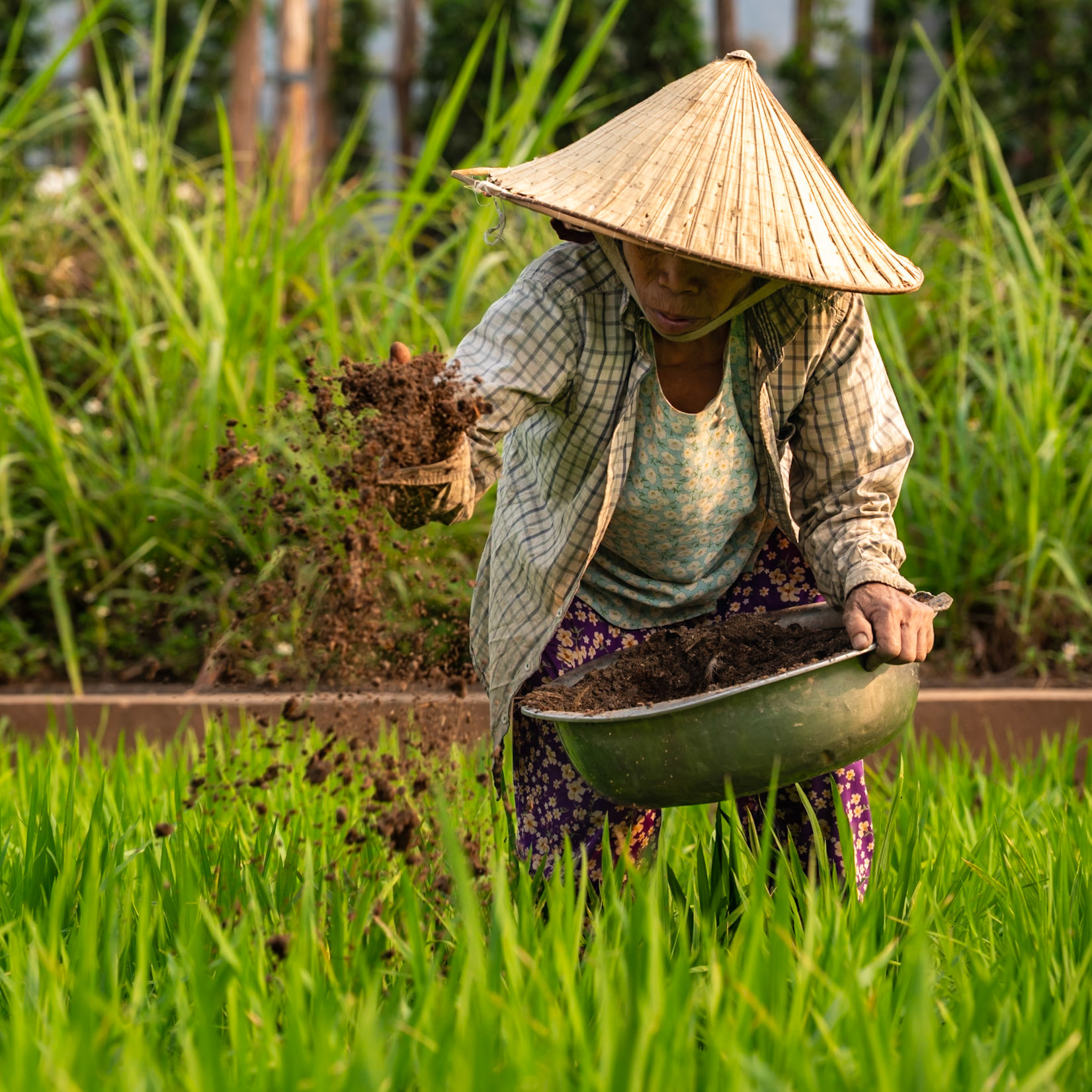 Dans son geste, le futur prend racine.
