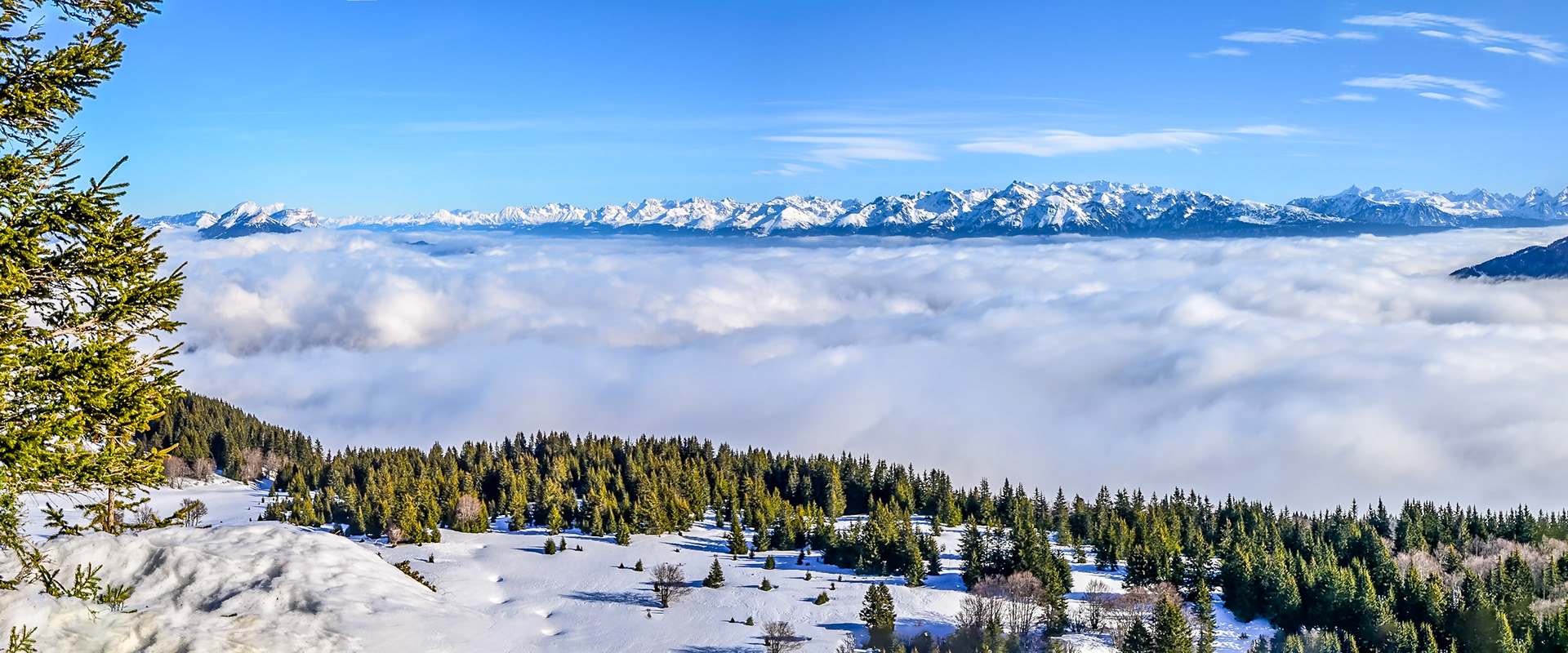 Le spectacle est magnifique avec ce grand beau temps sur les Alpes vu depuis les crêtes de La Molière dans le Vercors. Grenoble est sous la mer de nuages et la pureté de la lumière est exceptionnelle