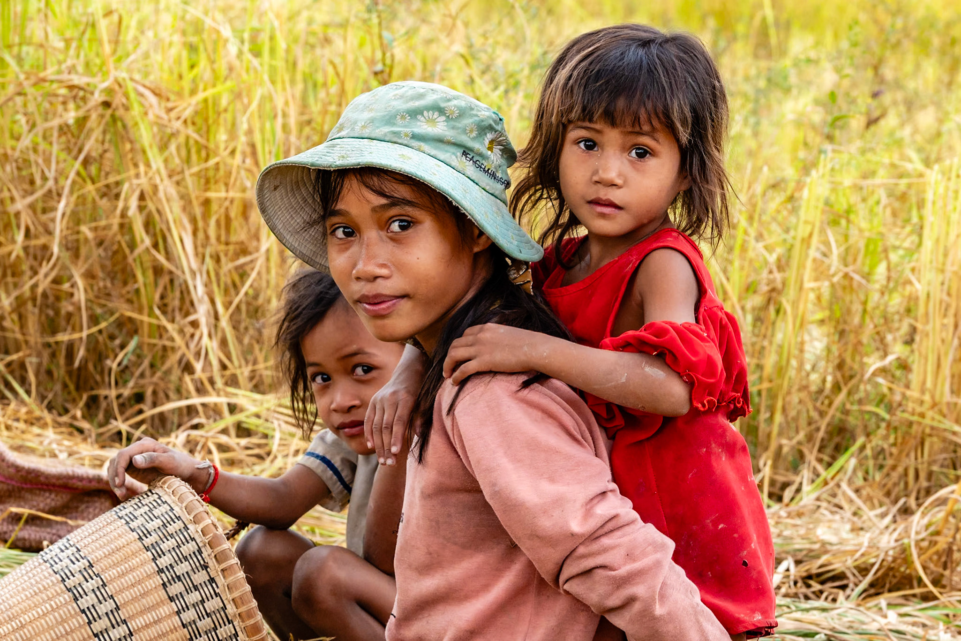 Au Nord Est du Cambodge, tout près de la frontière du Laos, j'ai rencontré cette fratrie dans une rizière. Ces trois soeurs espiègles aidaient leur Maman à couper le riz.